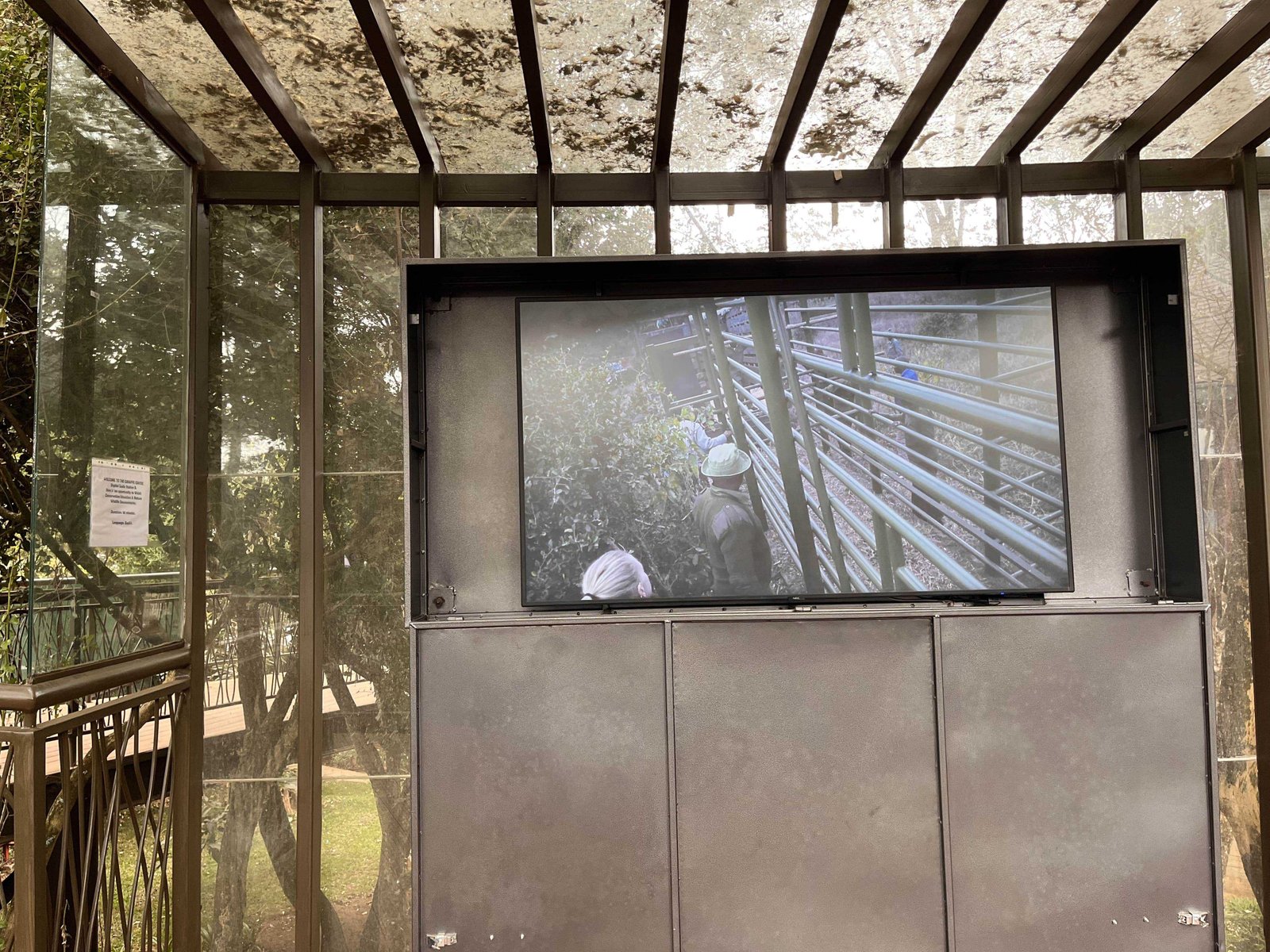 Visiting Giraffe Park Nairobi, Tickets, Tips, and Honest Review 13 Interactive displays explaining the Giraffe centre's work