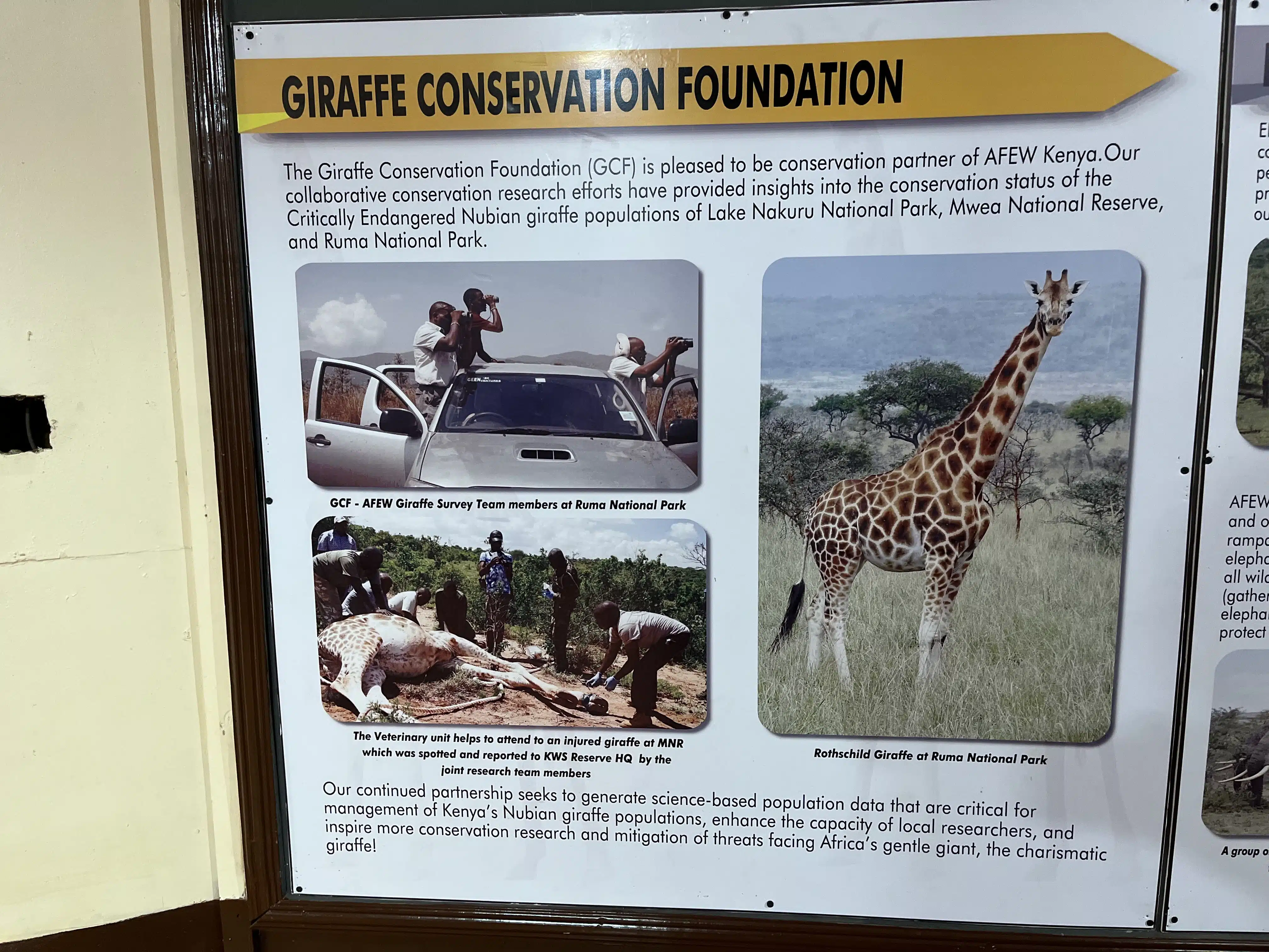 Details about the museum in Giraffe Park Nairobi