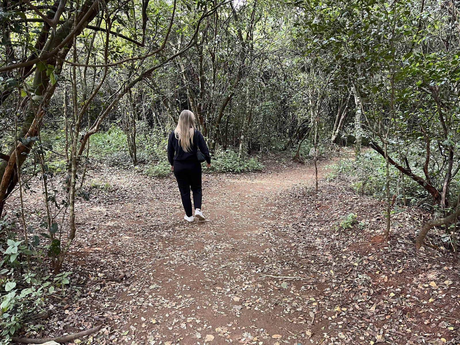 Visiting Giraffe Park Nairobi, Tickets, Tips, and Honest Review 14 Self-guided forest walk