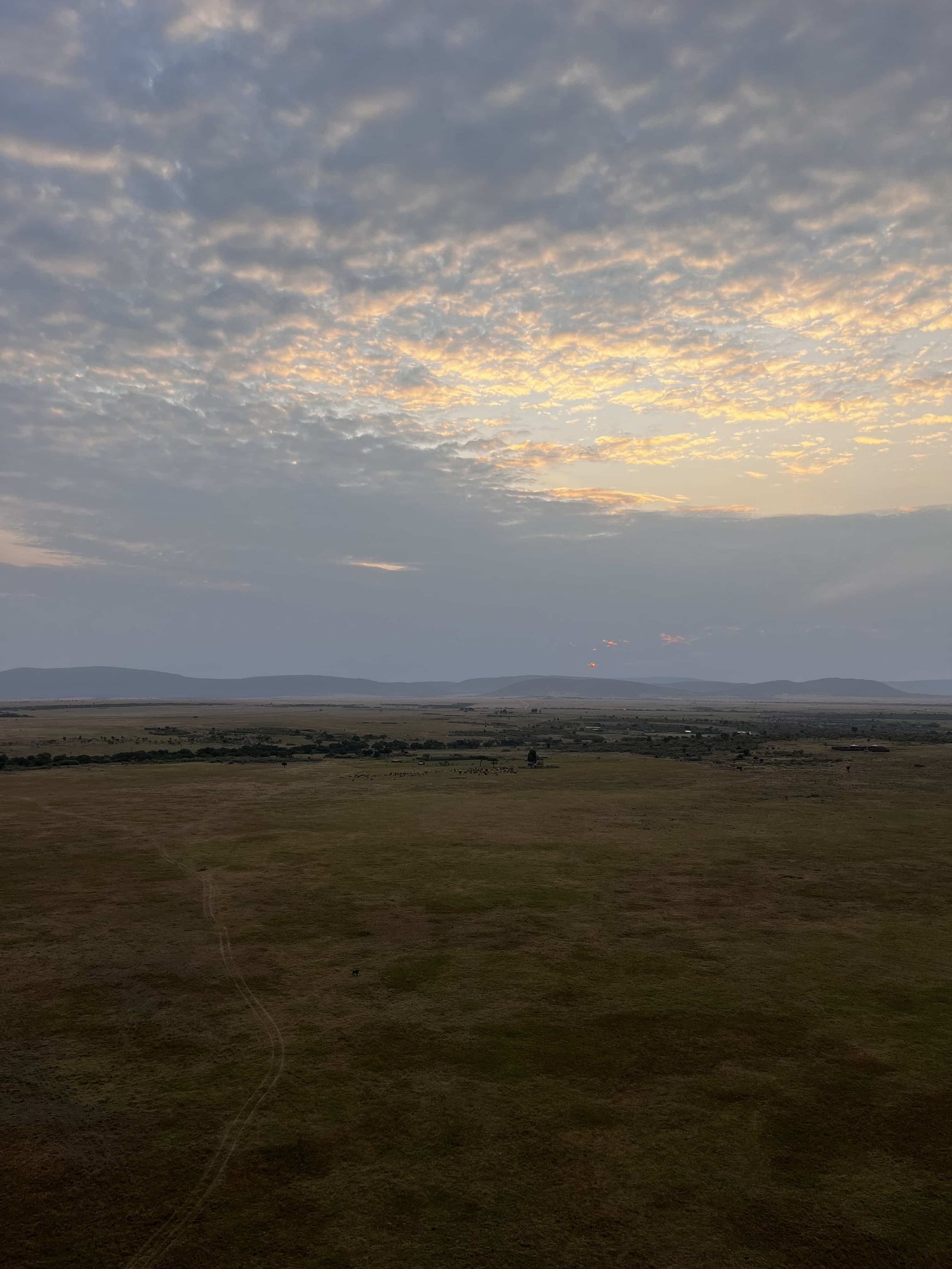 Masai Mara Hot Air Balloon Safari 2026: Cost, What to Expect & Best Time 14 High above the Maasai Mara plains