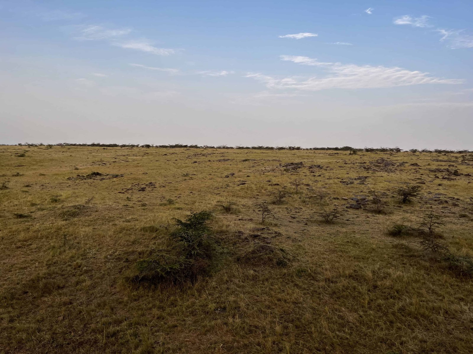 Masai Mara Hot Air Balloon Safari 2026: Cost, What to Expect & Best Time 12 View from the hot air balloon