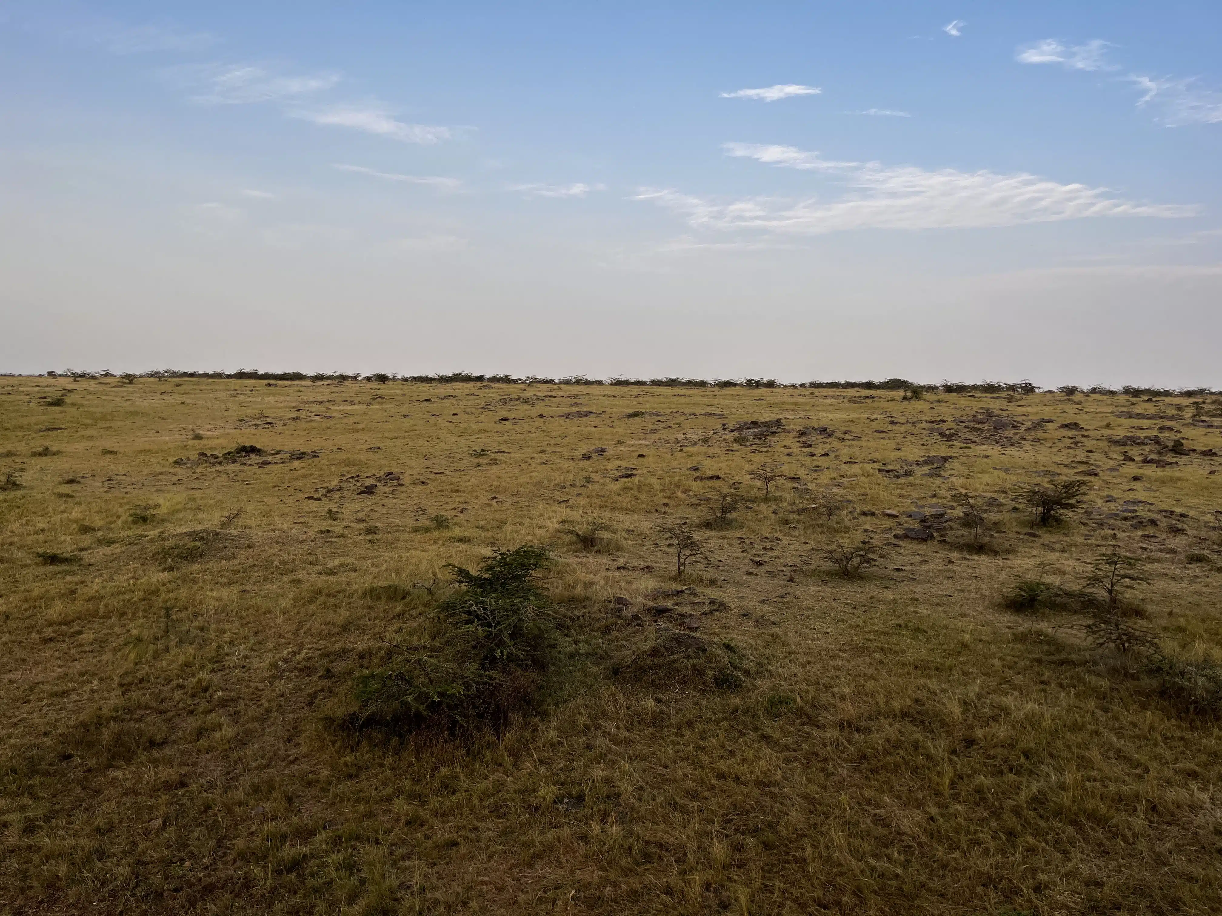View from the hot air balloon