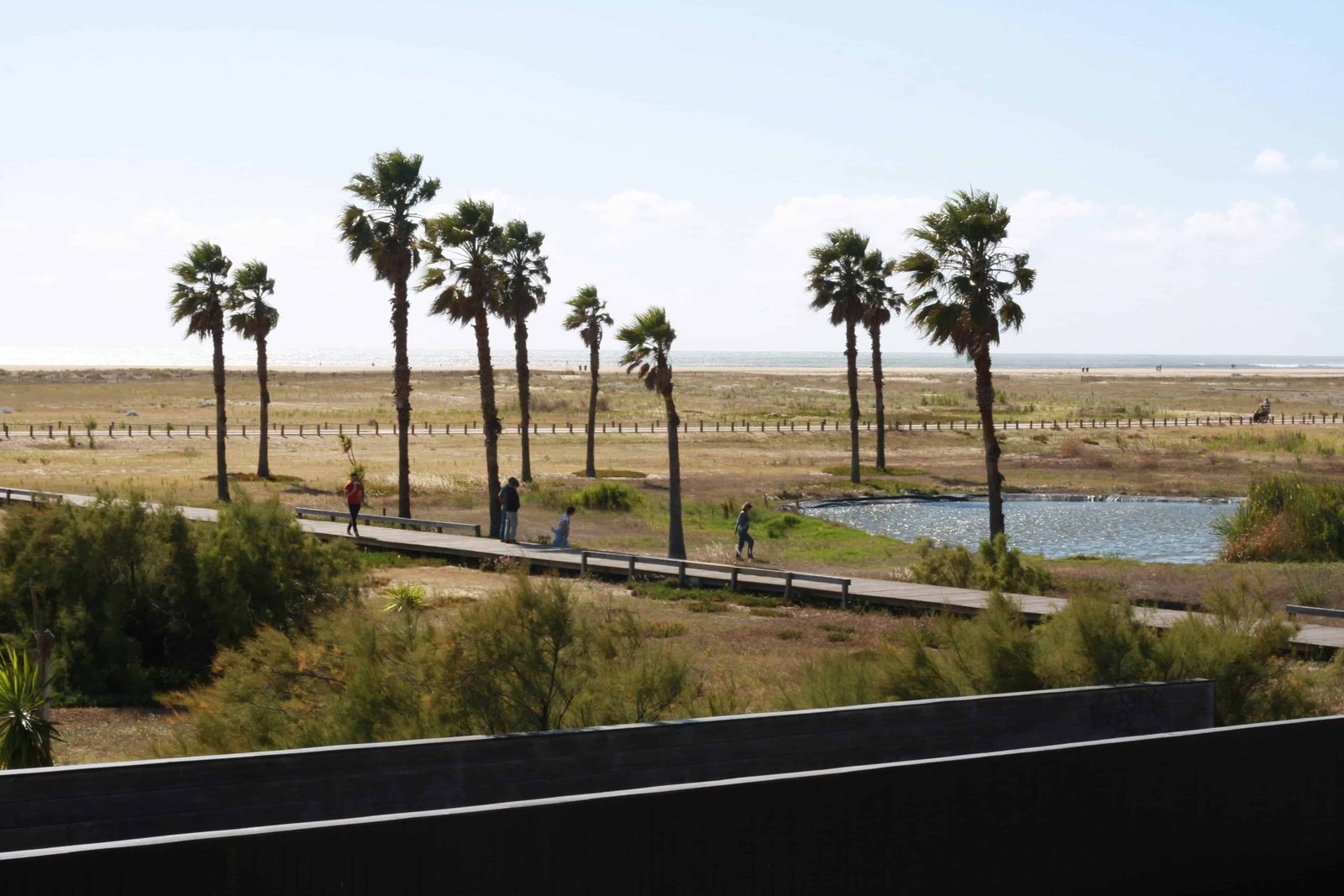 How to visit Figueira da Foz (Queen of Beaches)? 15 Figueira