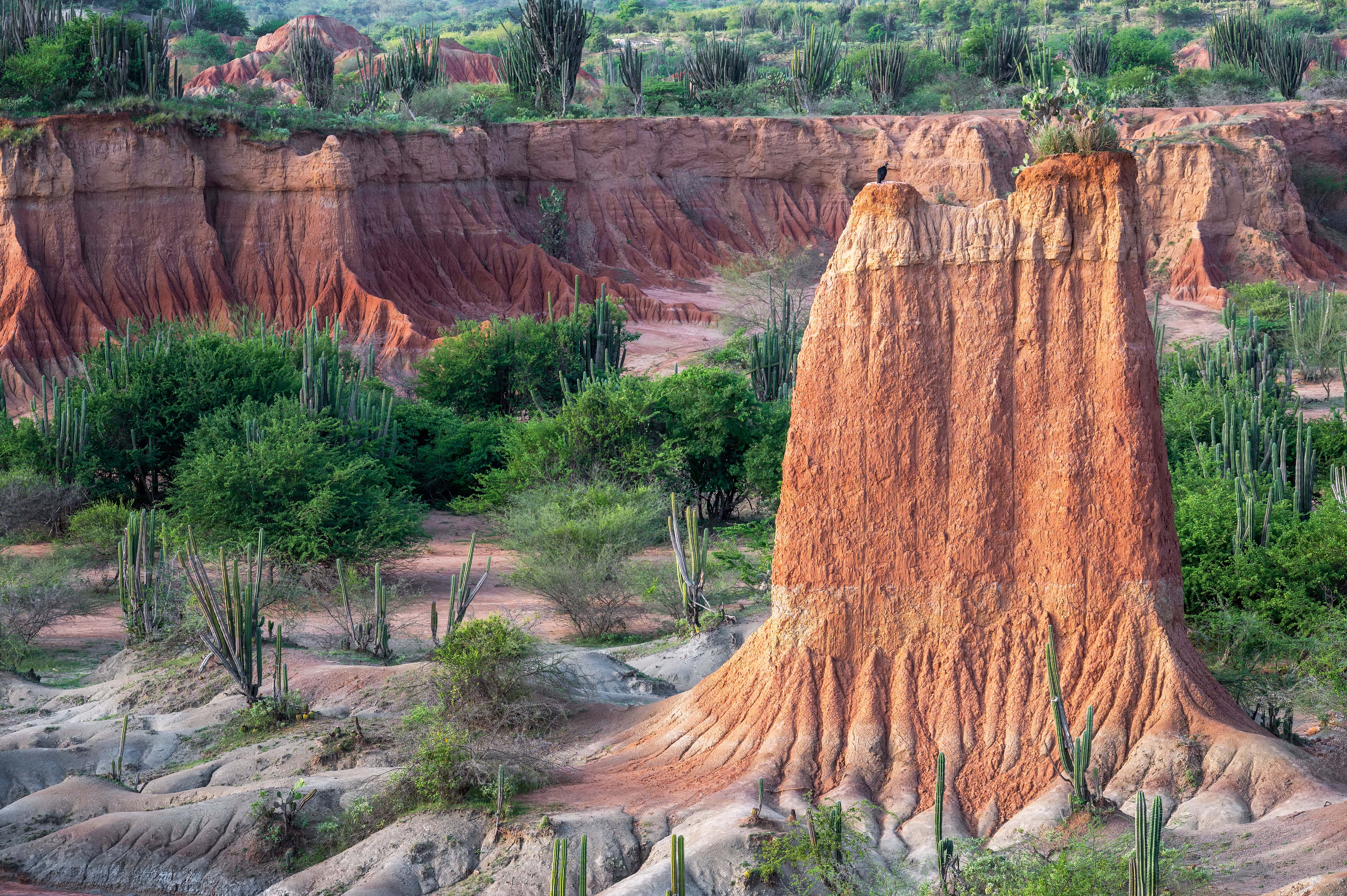 Beautiful view of the Tatacoa Desert in Huila, Colombia
