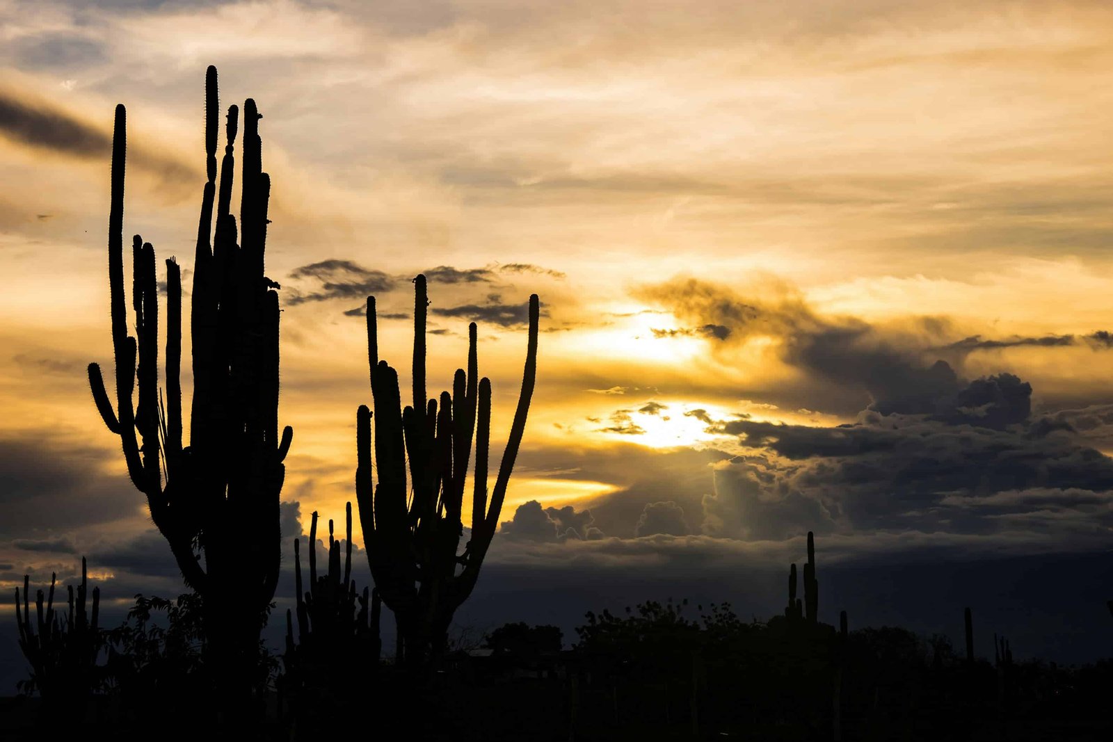 Tatacoa Desert: 6 Things To Do + TIPS In 2026! 6 Sunset at the Tatacoa Desert