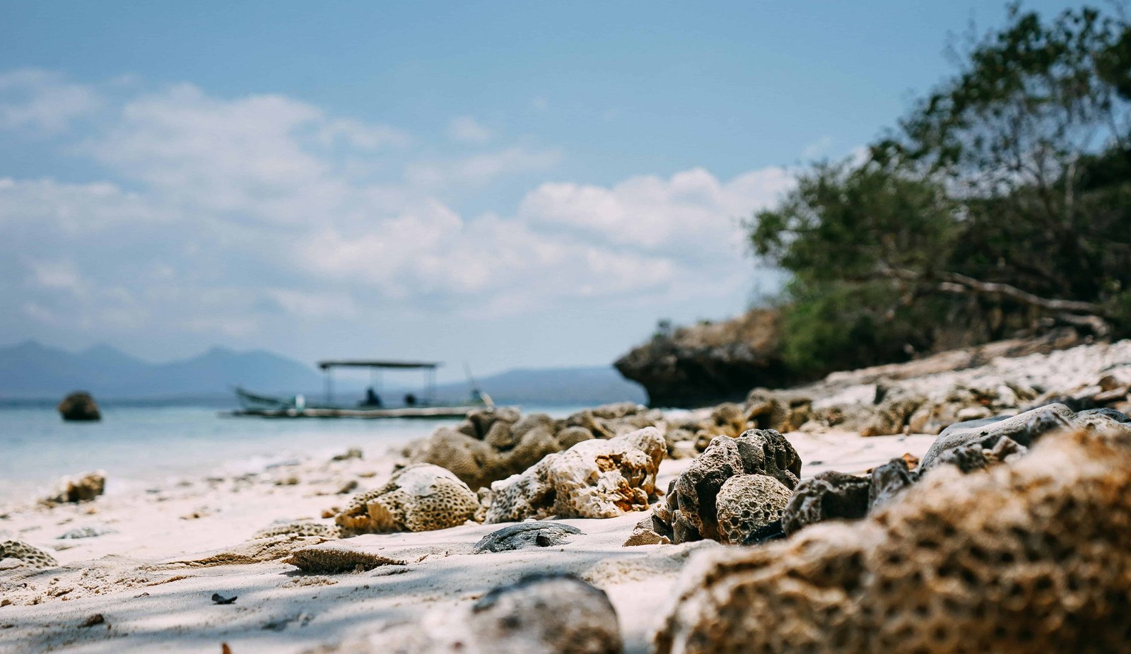 Menjangan Island: WHY BEST Secret Dive Site in Bali? 12 Menjangan Island