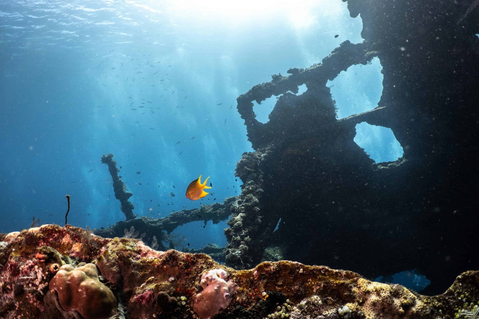 WHY Diving At The USAT Liberty Shipwreck? FULL GUIDE 1 USAT Liberty Shipwreck