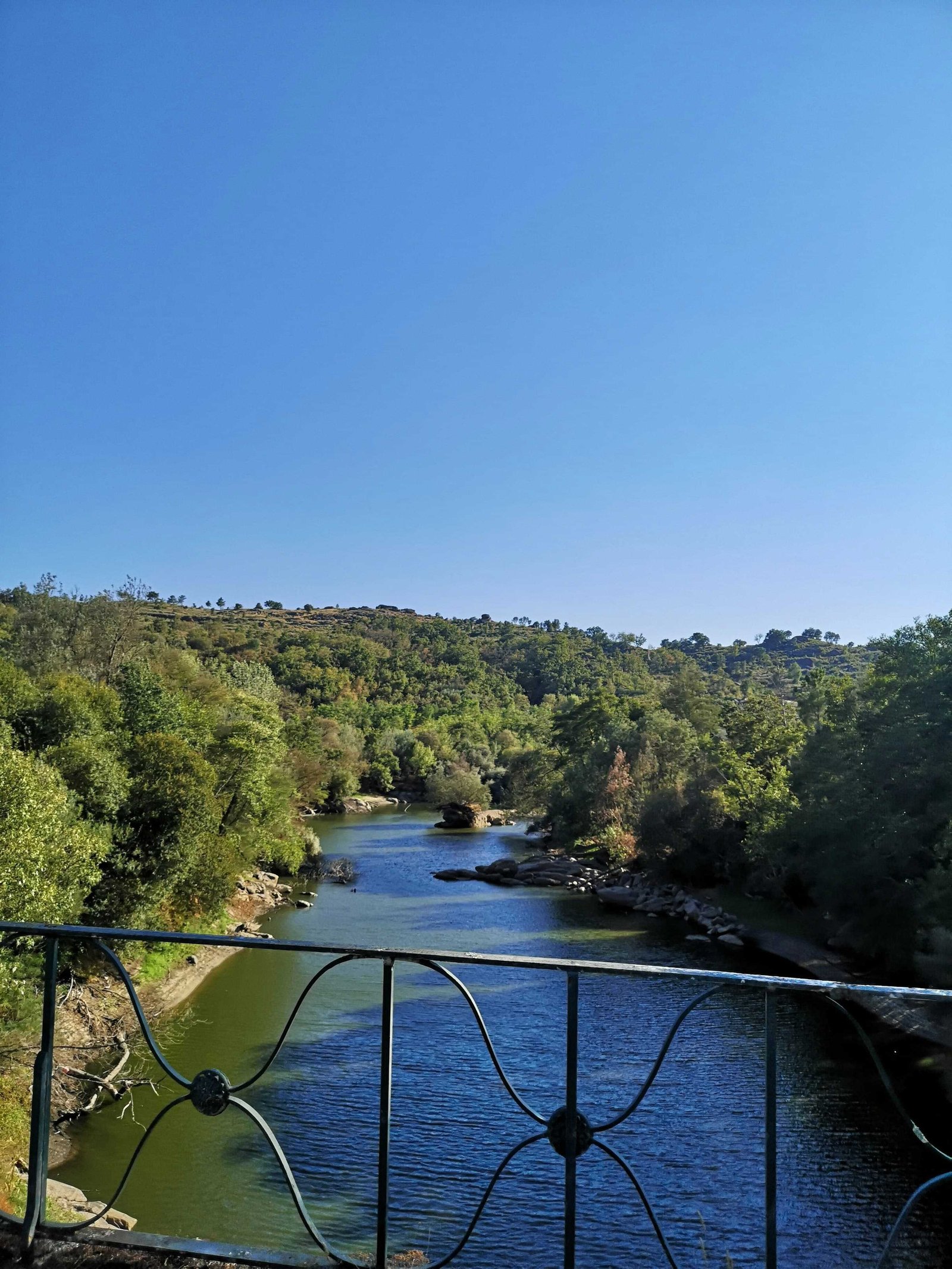 Mondego River in Portugal: What Activities Should You Do? 5 Mondego River