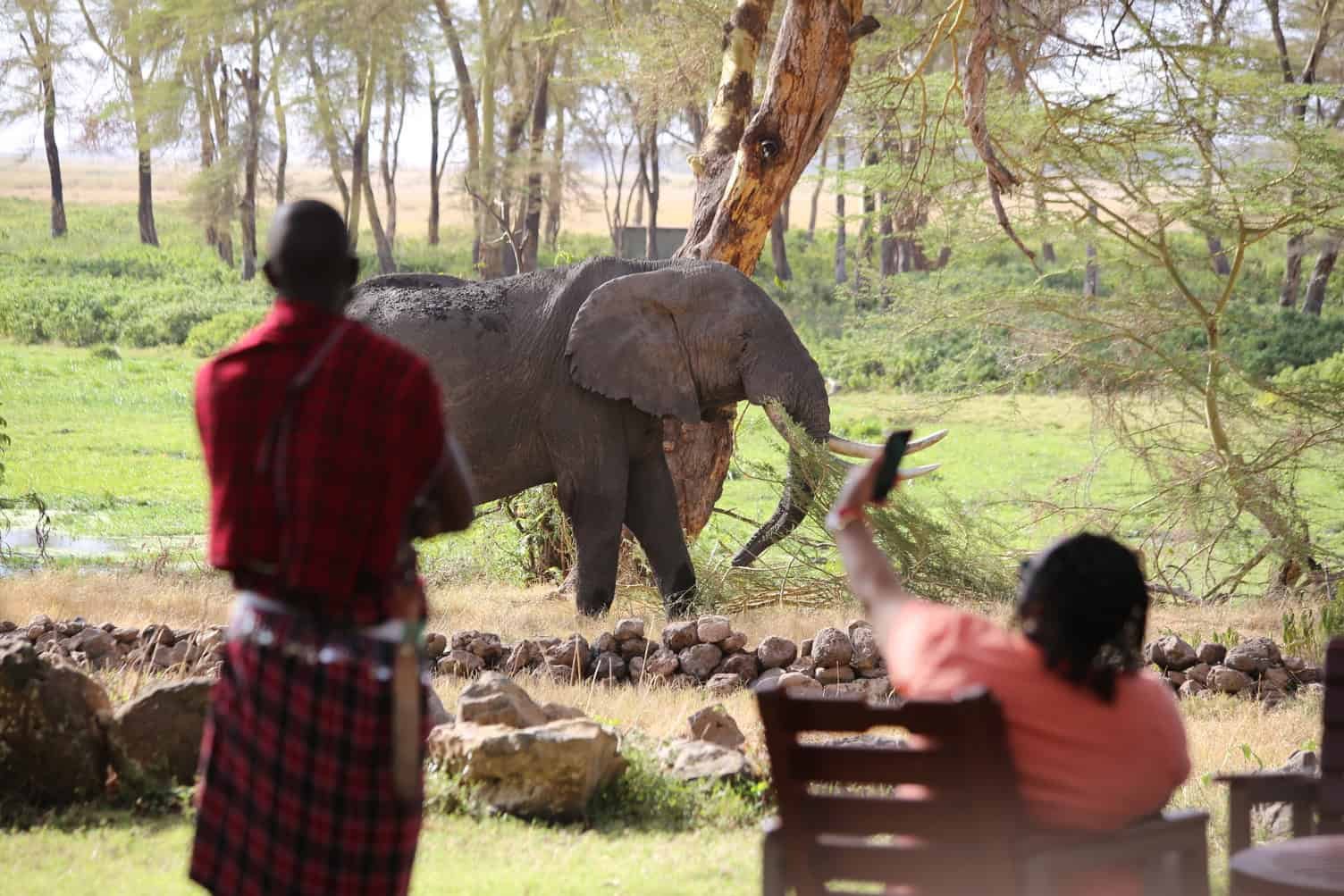 Amboseli National Park travel guide: Everything You Need To Know for 2026! 14 Amboseli Serena Safari Lodge. Waterhole in front of the hotel patio.