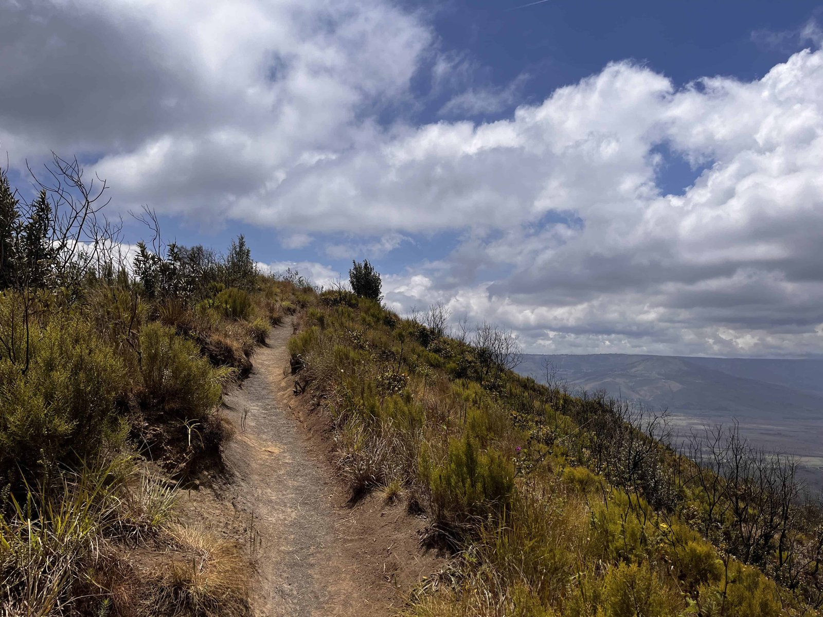 How to Hike Mount Longonot Kenya (Distance, Difficulty & Day Trip from Nairobi) 6 Most of the time the trail is easily walkable like on this picture.