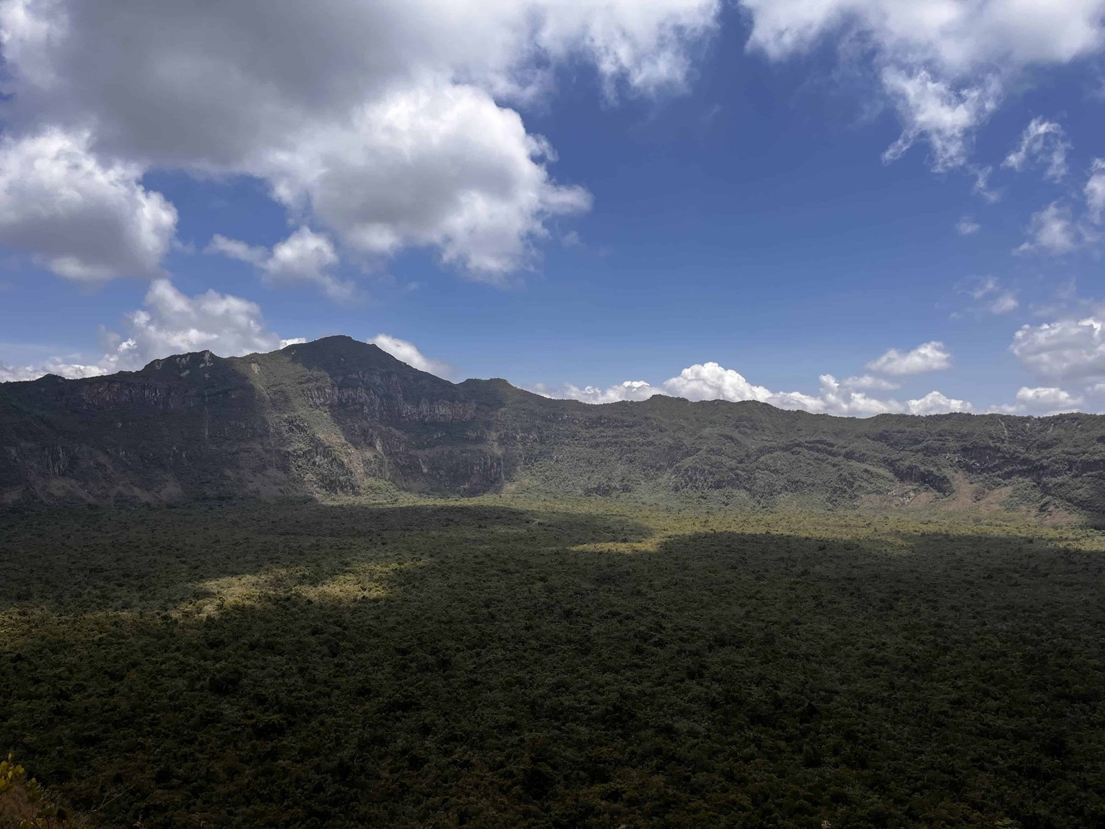 How to Hike Mount Longonot Kenya (Distance, Difficulty & Day Trip from Nairobi) 15 Wildlife in the park.