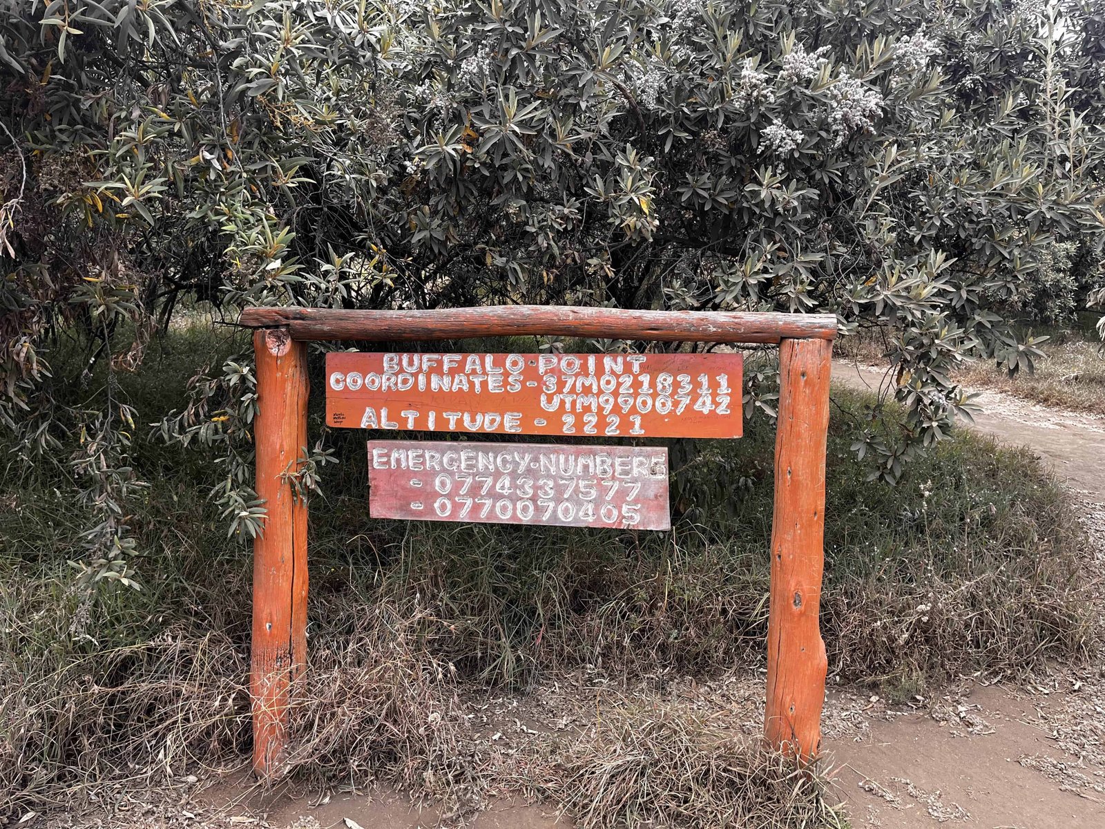 How to Hike Mount Longonot Kenya (Distance, Difficulty & Day Trip from Nairobi) 7 From this point onwards it get steep.