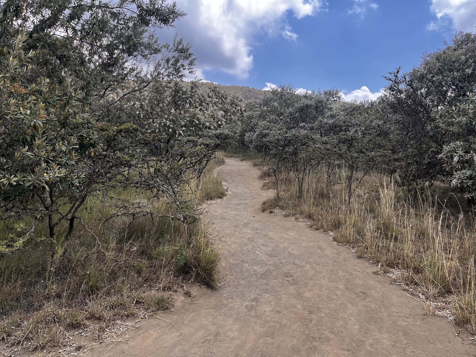 How to Hike Mount Longonot Kenya (Distance, Difficulty & Day Trip from Nairobi) 5 On the trail.