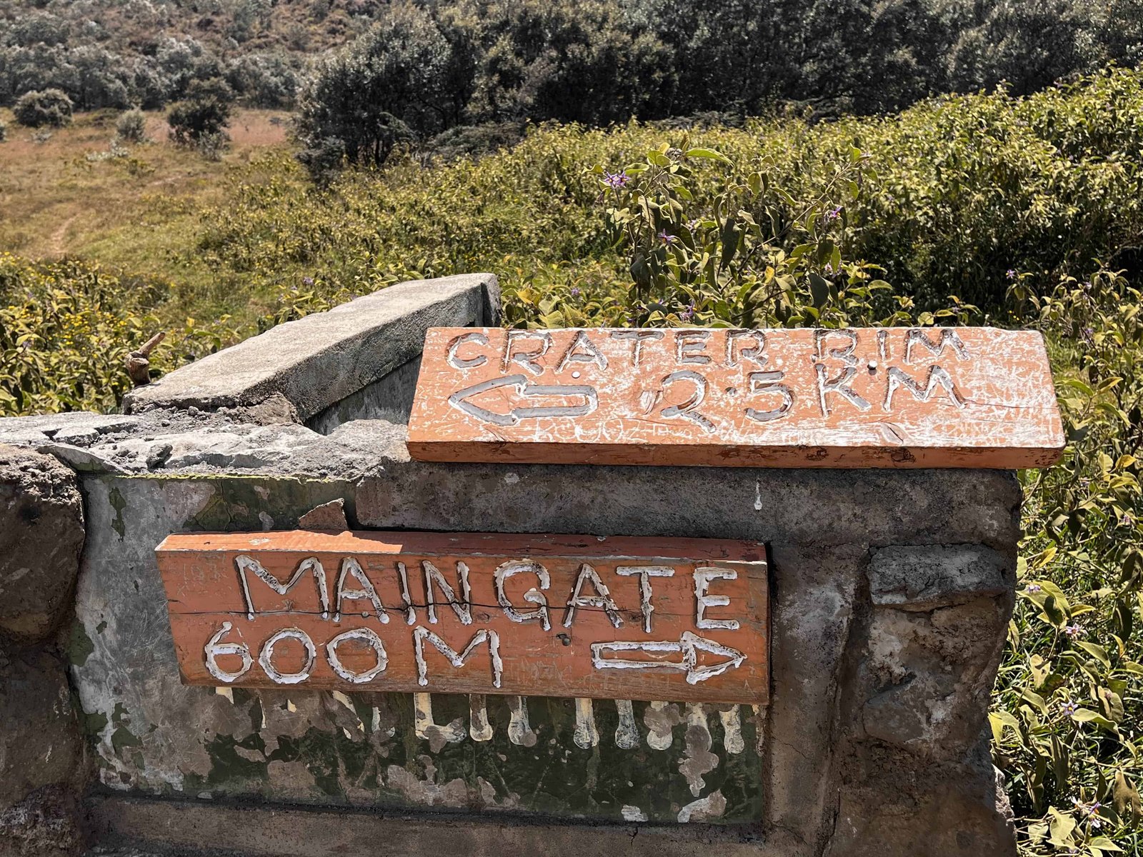 How to Hike Mount Longonot Kenya (Distance, Difficulty & Day Trip from Nairobi) 14 Start of the trail.