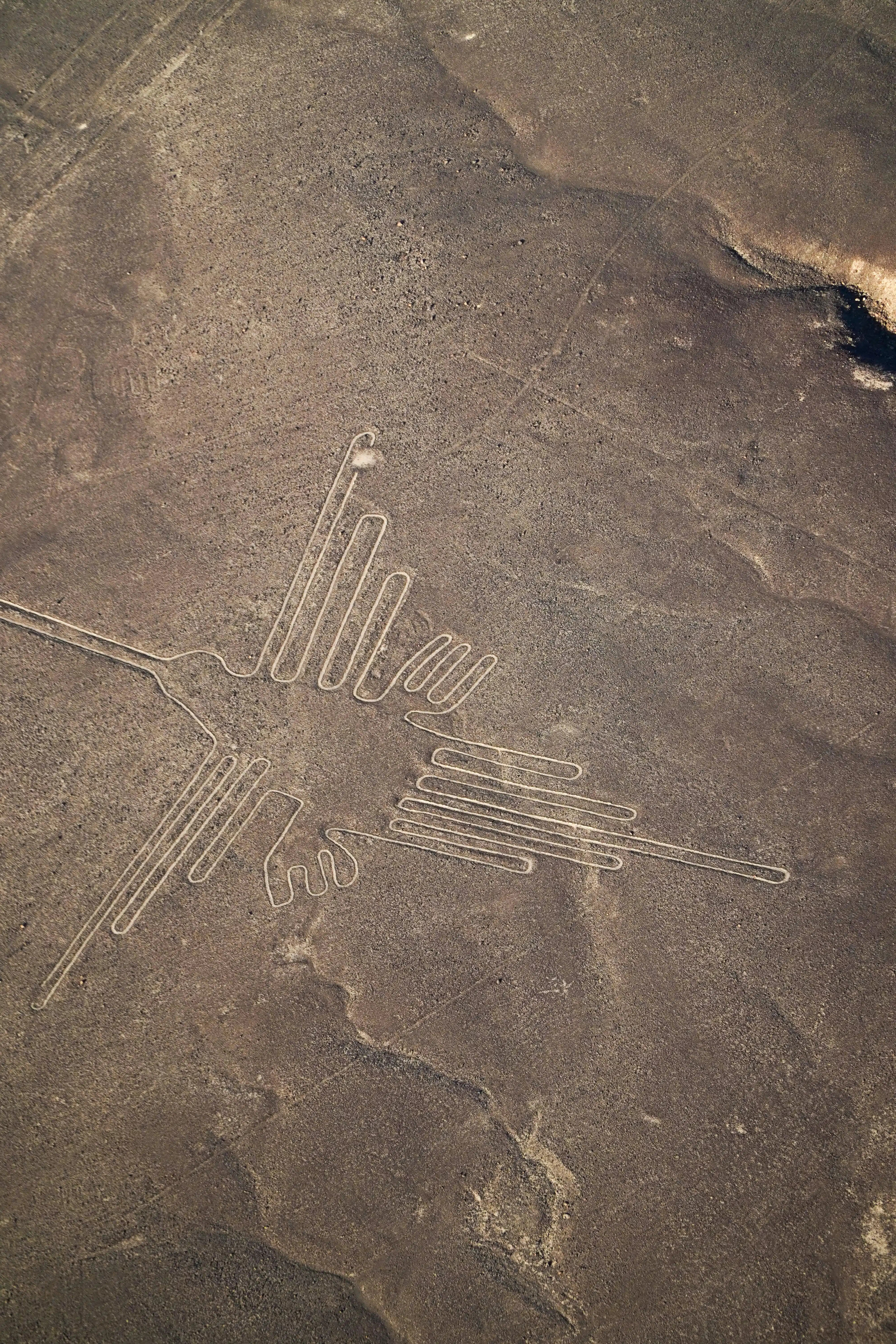 Nazca Lines Tour