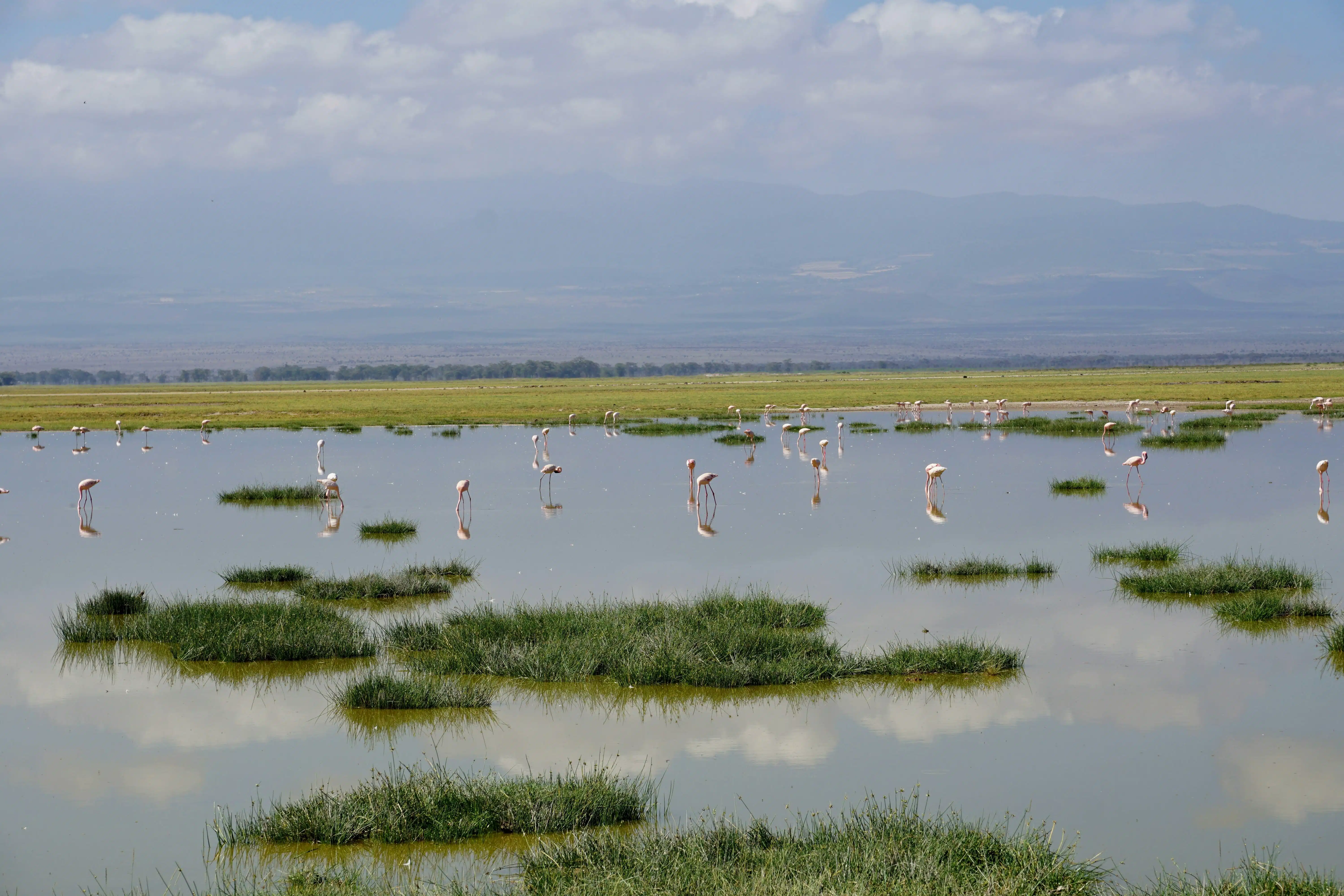 Lakes in Amboseli