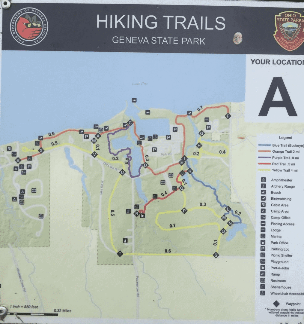 Geneva State Park in Ohio: What to Do (full guide)? 5 Hiking trails in the state park