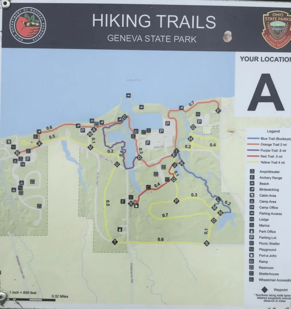 Hiking trails in the state park