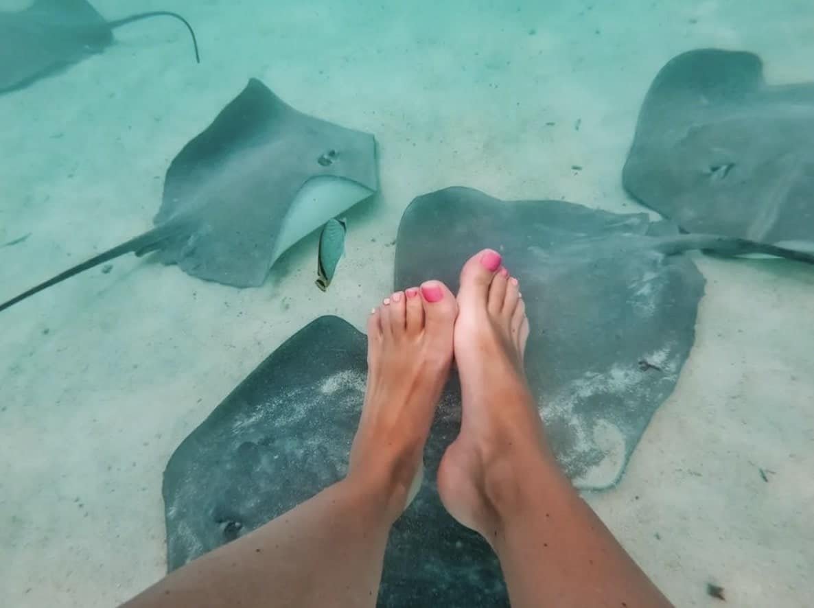 Bora Bora Snorkeling: All You Need to Know + FAQ (2026 Update)! 15 stingrays below.