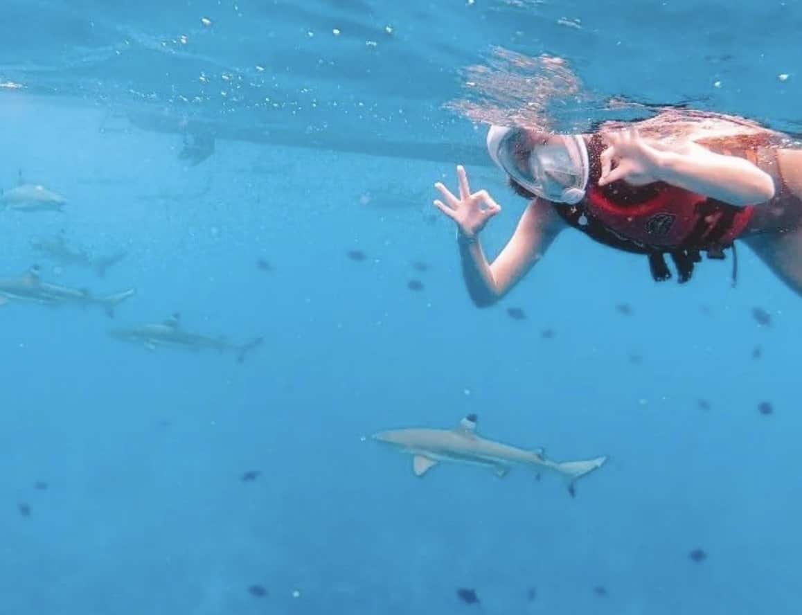 Bora Bora Snorkeling: All You Need to Know + FAQ (2026 Update)! 18 Bora Bora snorkeling