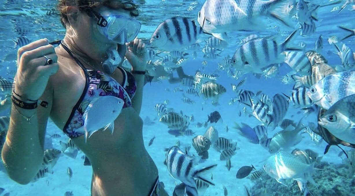 Bora Bora Snorkeling: All You Need to Know + FAQ (2026 Update)! 5 Coral Garden