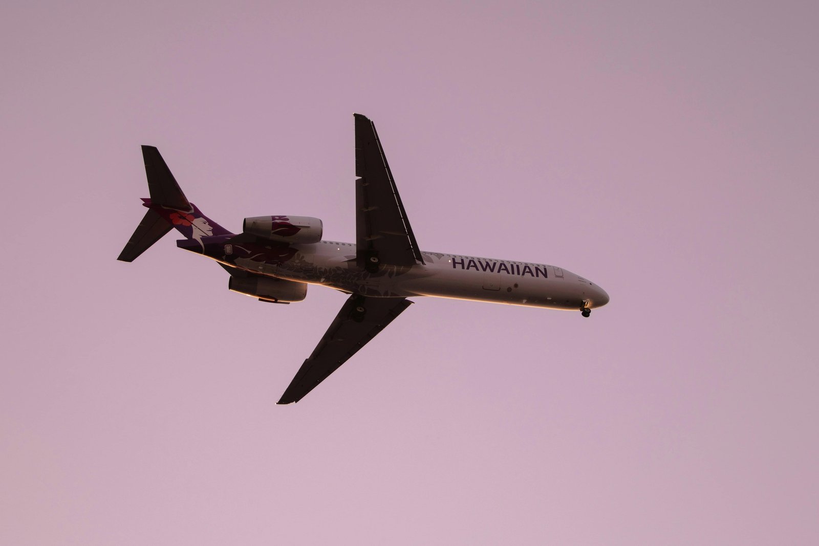 Flights to Bora Bora from LAX: How To Save Money in 2026? 6 Hawaiian Airlines