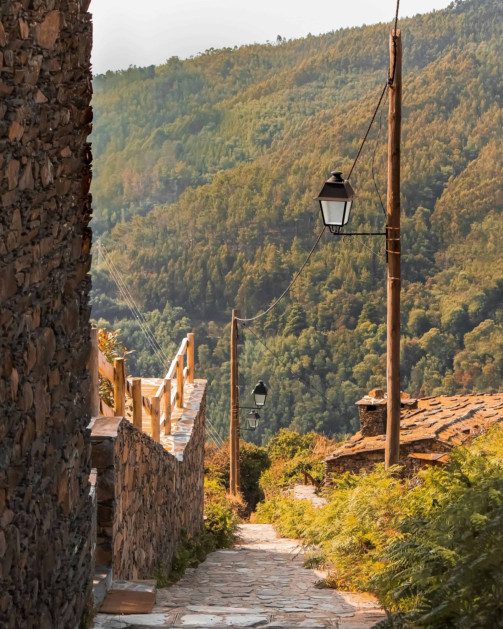 Lousã: A Guide to the Schist Villages and Trails in 2026 14 Nature in the park!
