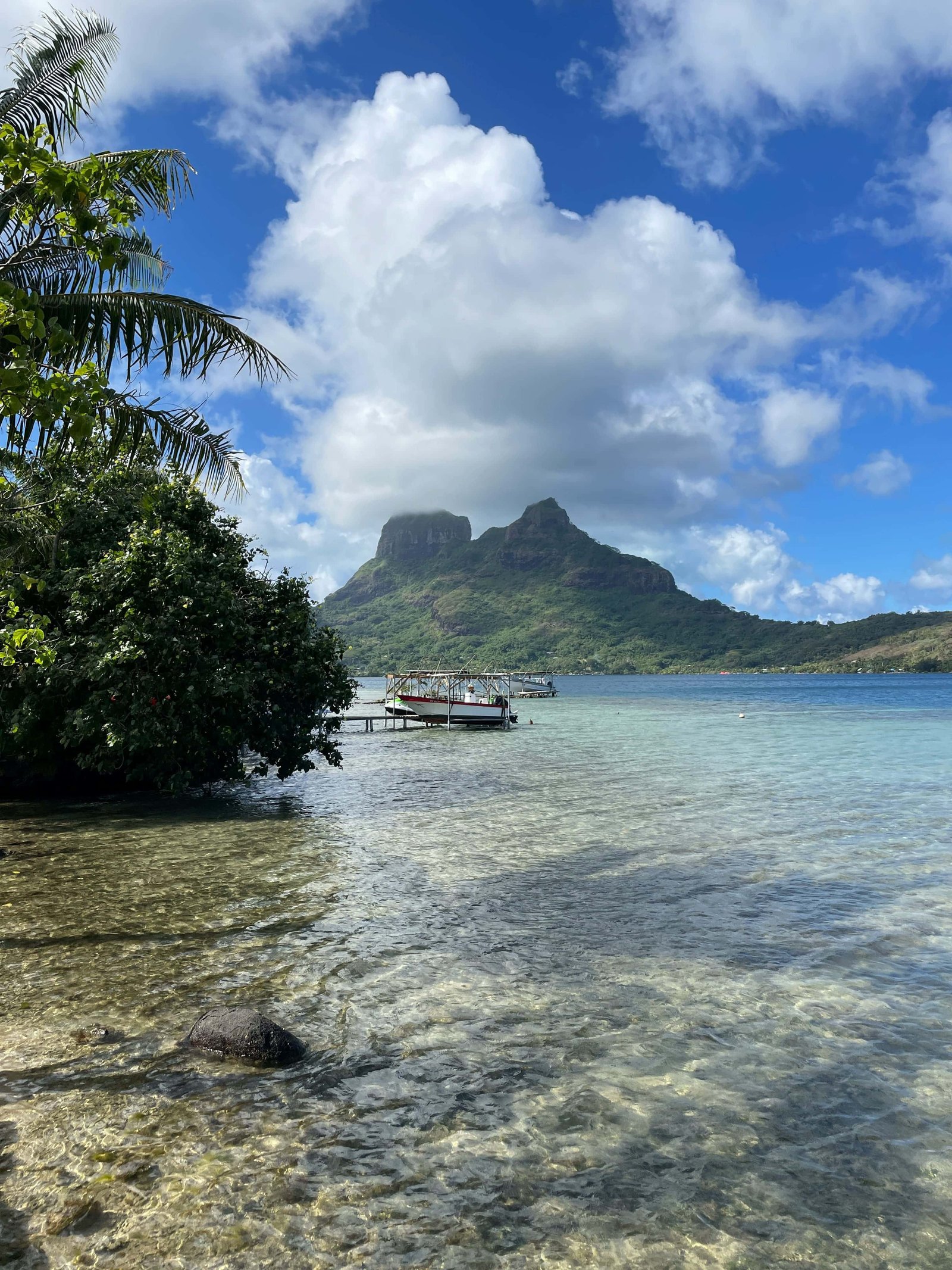 Bora Bora Rental Car: Do or Don't in 2026? 14 Bora Bora rental car on the island