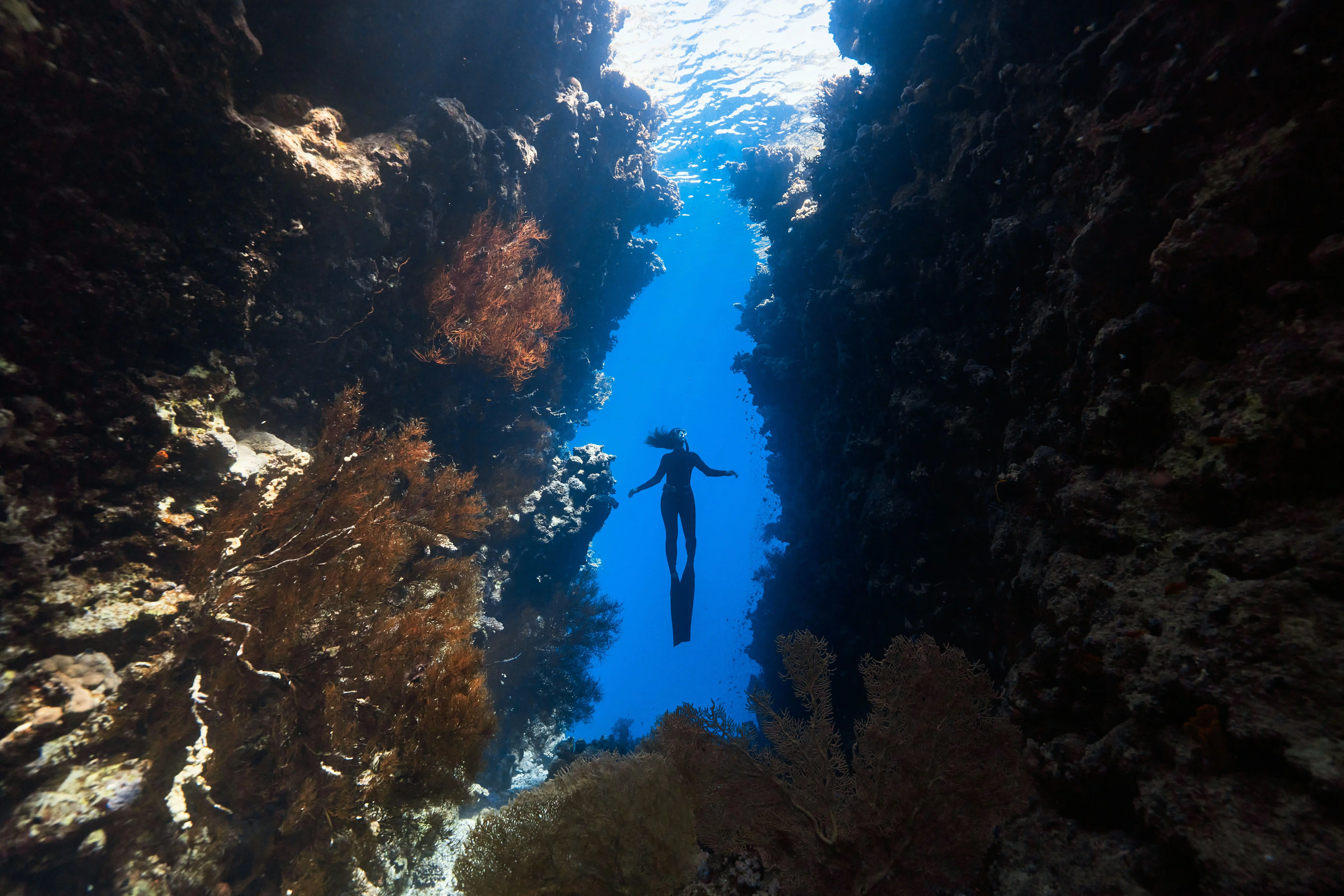 Snorkeling bora bora