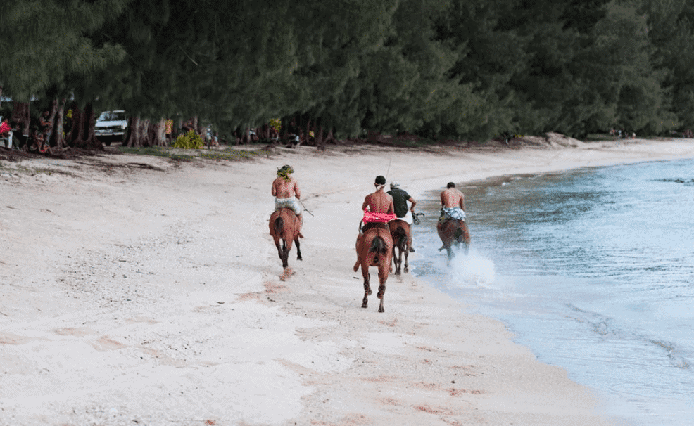 Rurutu French Polynesia: All You Need To Know for 2026 4 Lot's of horses in Rurutu