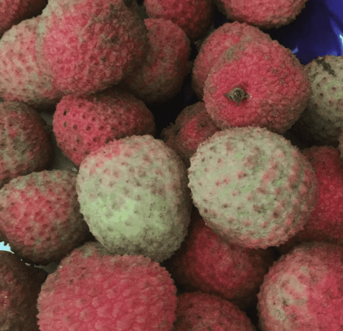 Tubuai Island: 2026 Travel Guide 13 Litchees.