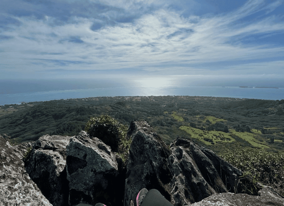 Austral Islands: What to expect in 2026 (+FAQ)? 10 View from up top the mountain.