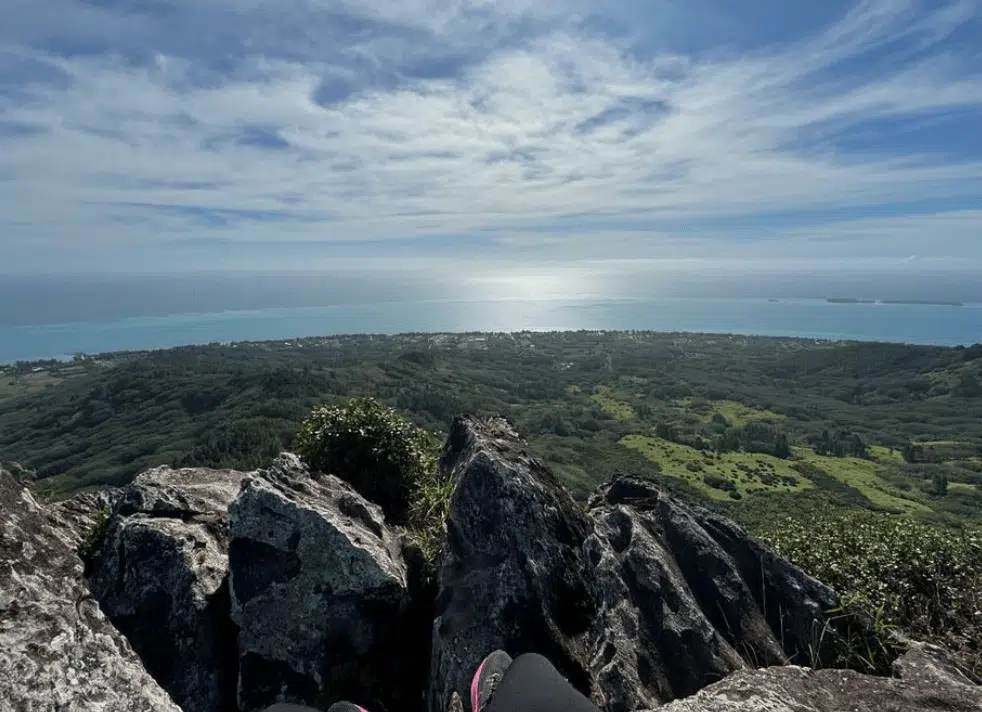 View from up top the mountain.