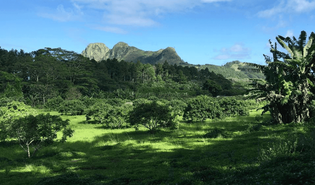 Tubuai Island: 2026 Travel Guide 1 Tubuai landscape