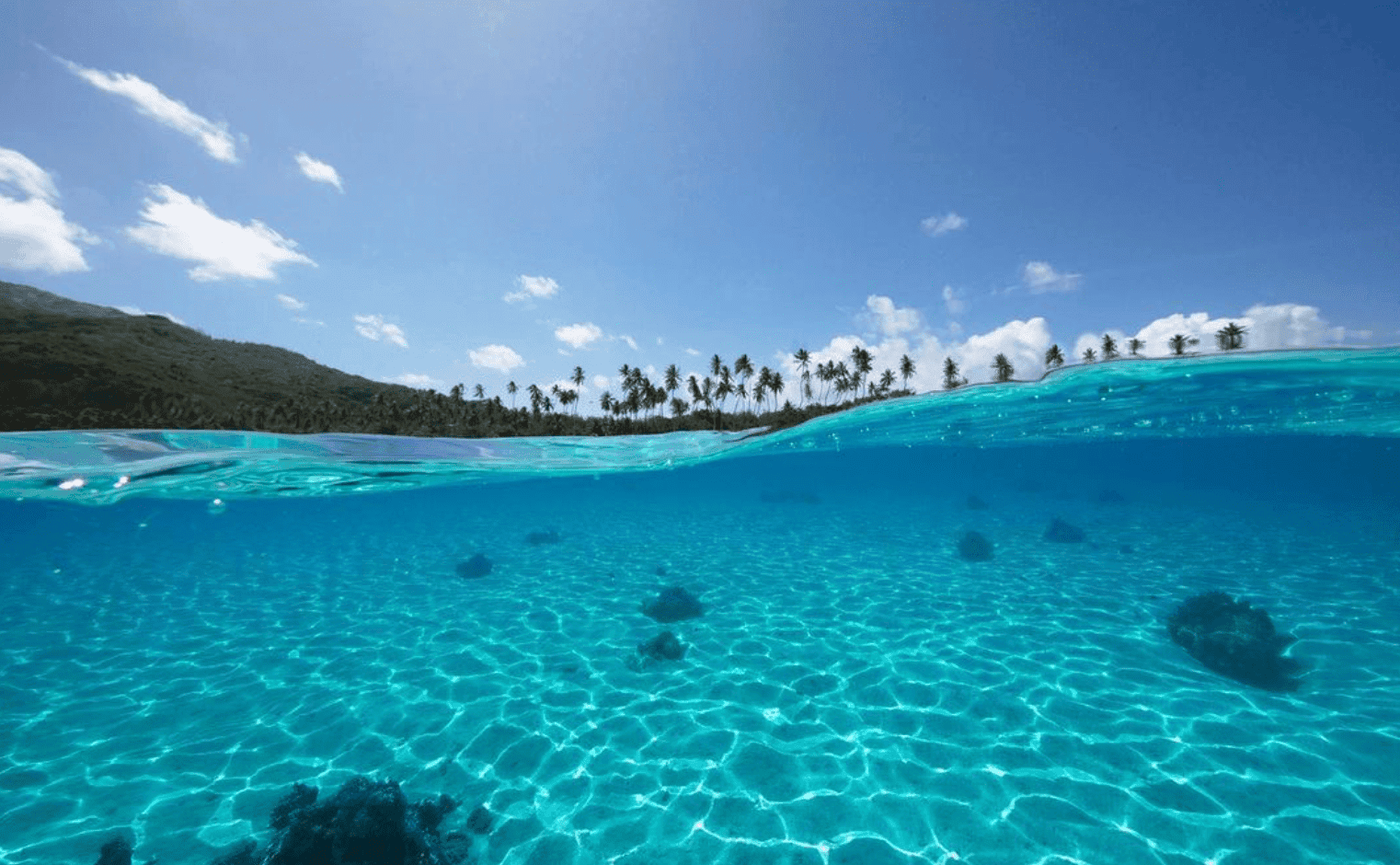 Temae Beach Guide: WHY The Most Beautiful Beach In Moorea? 1 Temae Beach