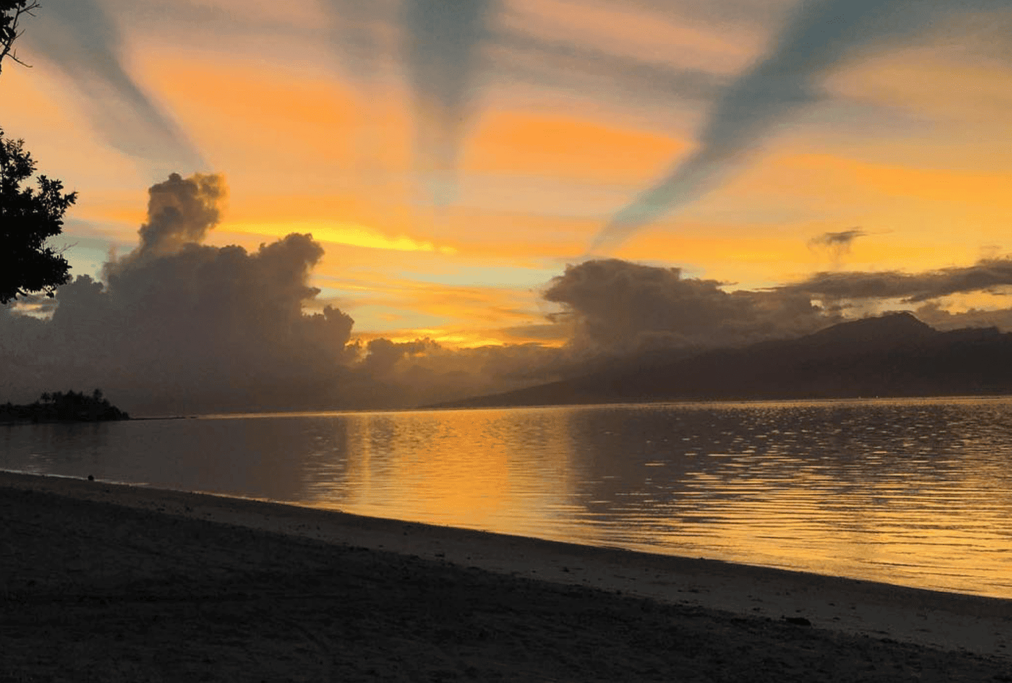 Temae Beach Guide: WHY The Most Beautiful Beach In Moorea? 3 Temae Beach