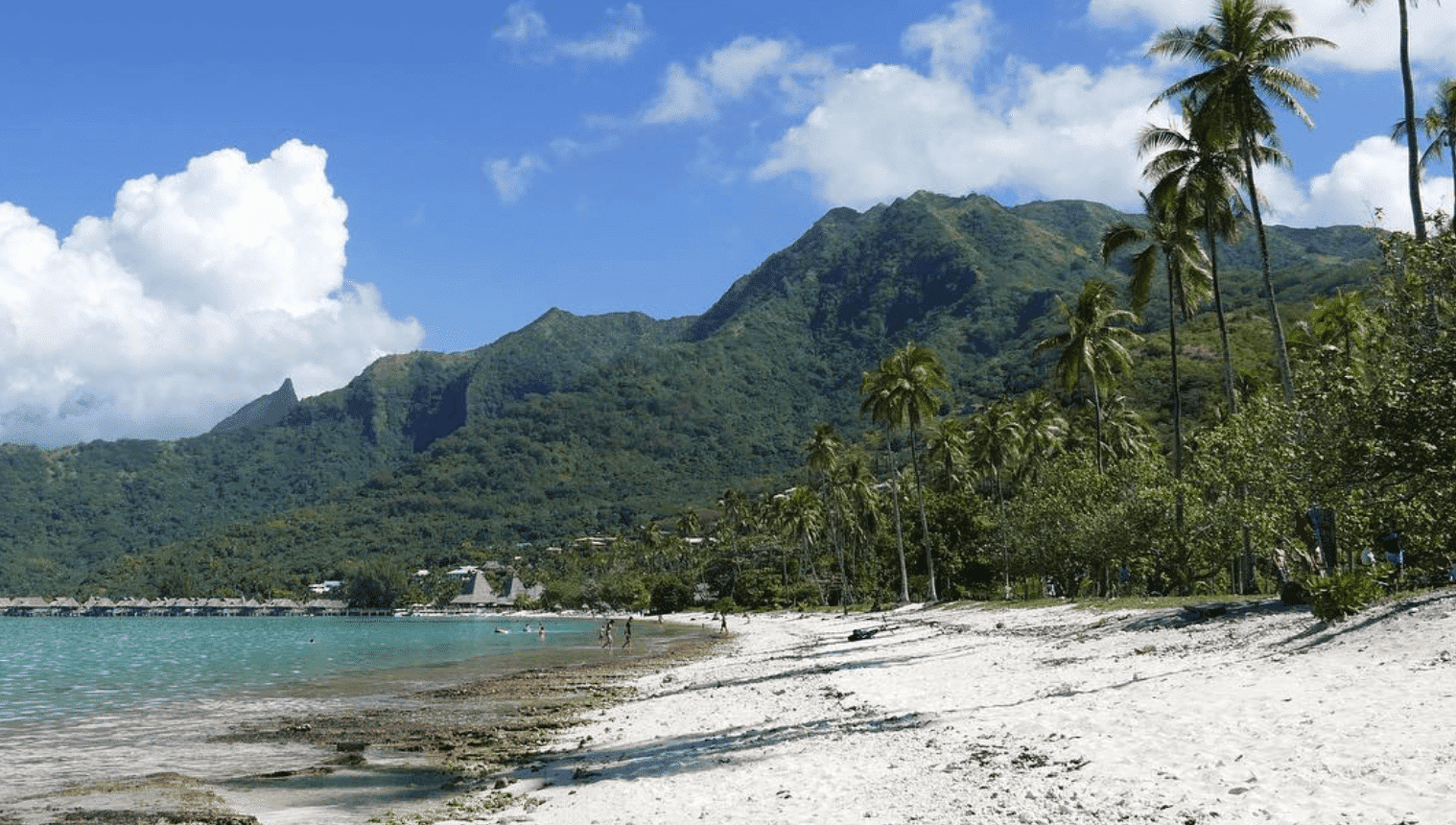 Temae Beach Guide: WHY The Most Beautiful Beach In Moorea? 4 Temae Beach