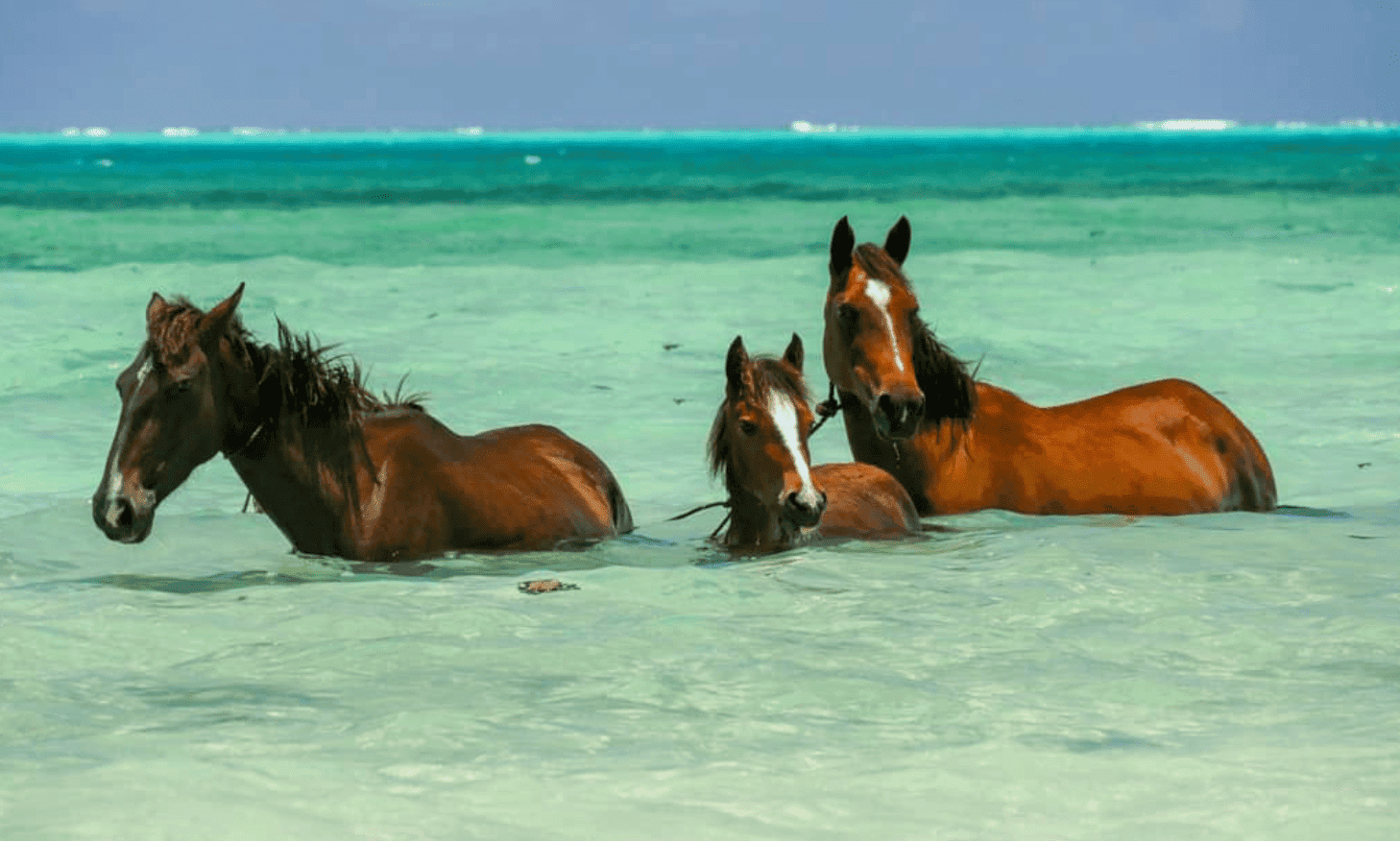 The TOP 12 Tahiti Beaches to Visit in 2026! 22 Tubuai