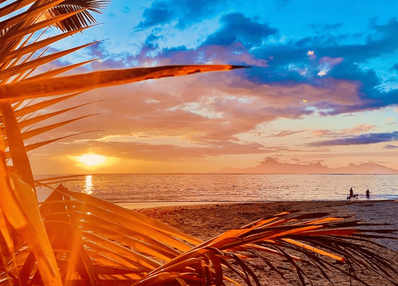 The TOP 12 Tahiti Beaches to Visit in 2026! 11 Vaiava Beach