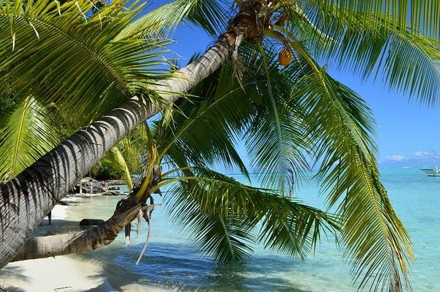 37 Best Things To Do in Tahiti For 2026 14 Bora Bora beach view