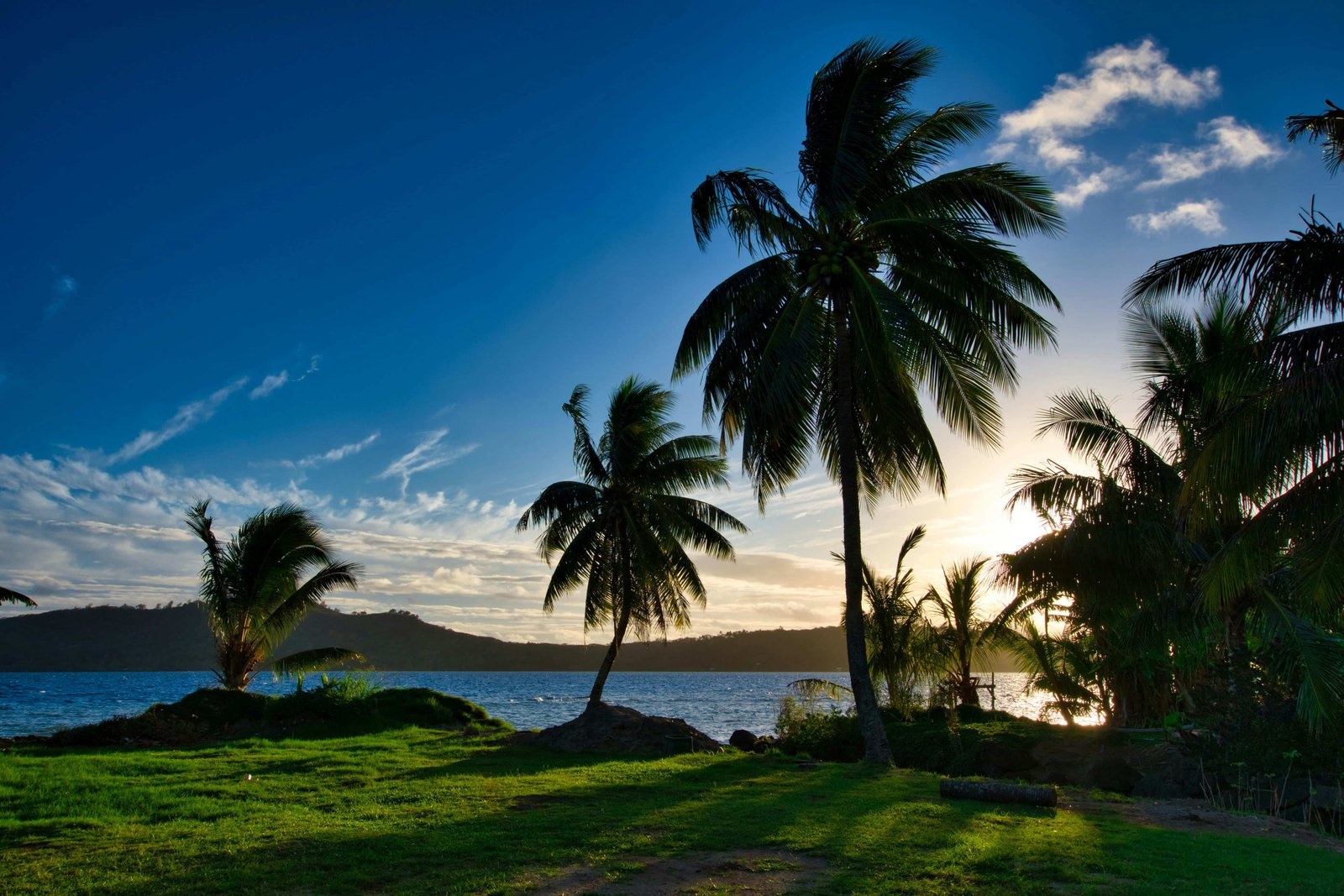 Bora Bora: 36 Things You NEED To Know Before You Go 15 Nature on the island