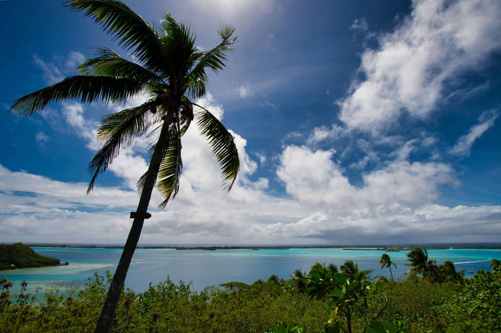 Bora Bora: 36 Things You NEED To Know Before You Go 22 Nature Palm Beach