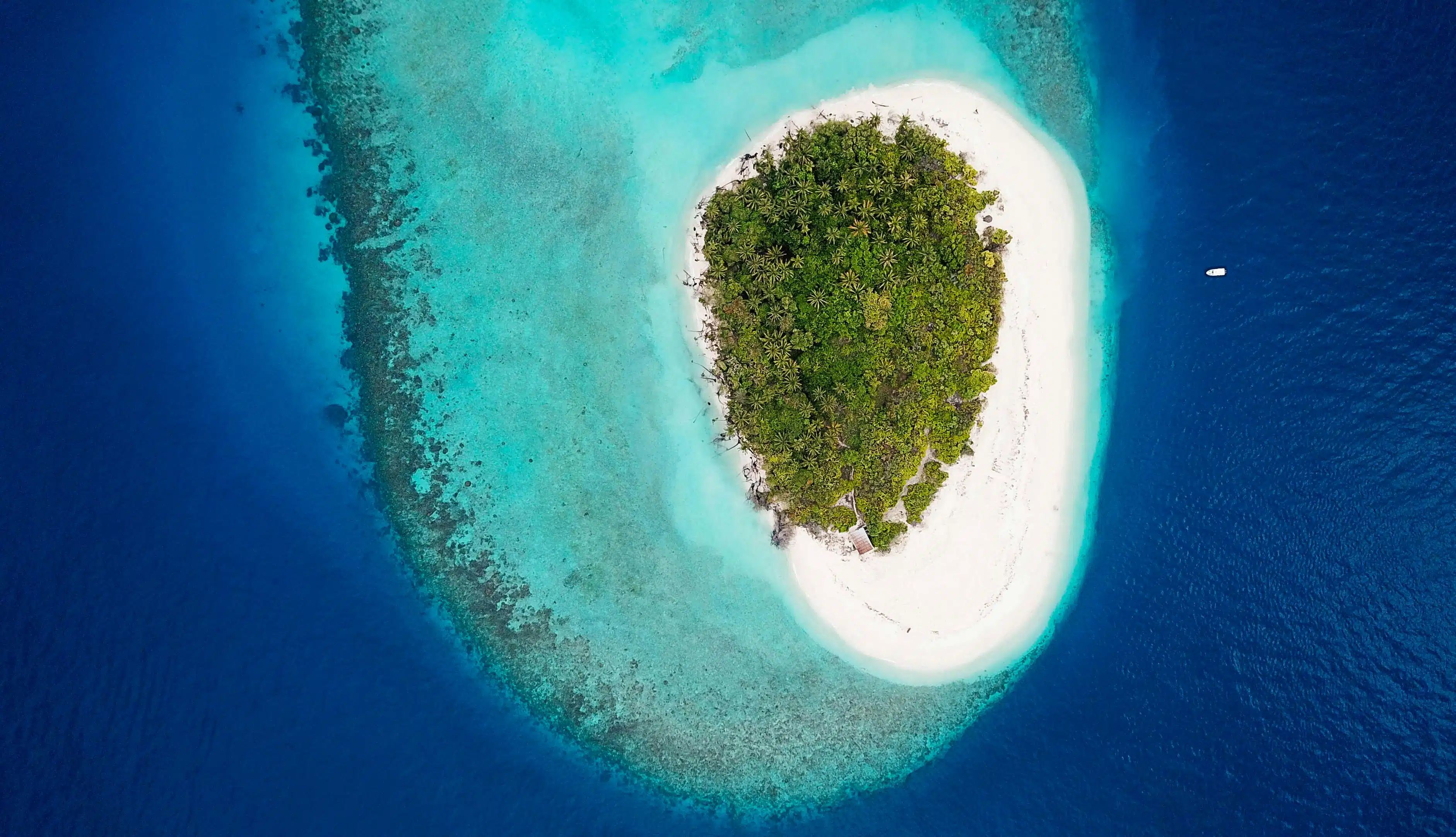 Bora Bora island vs Maldives