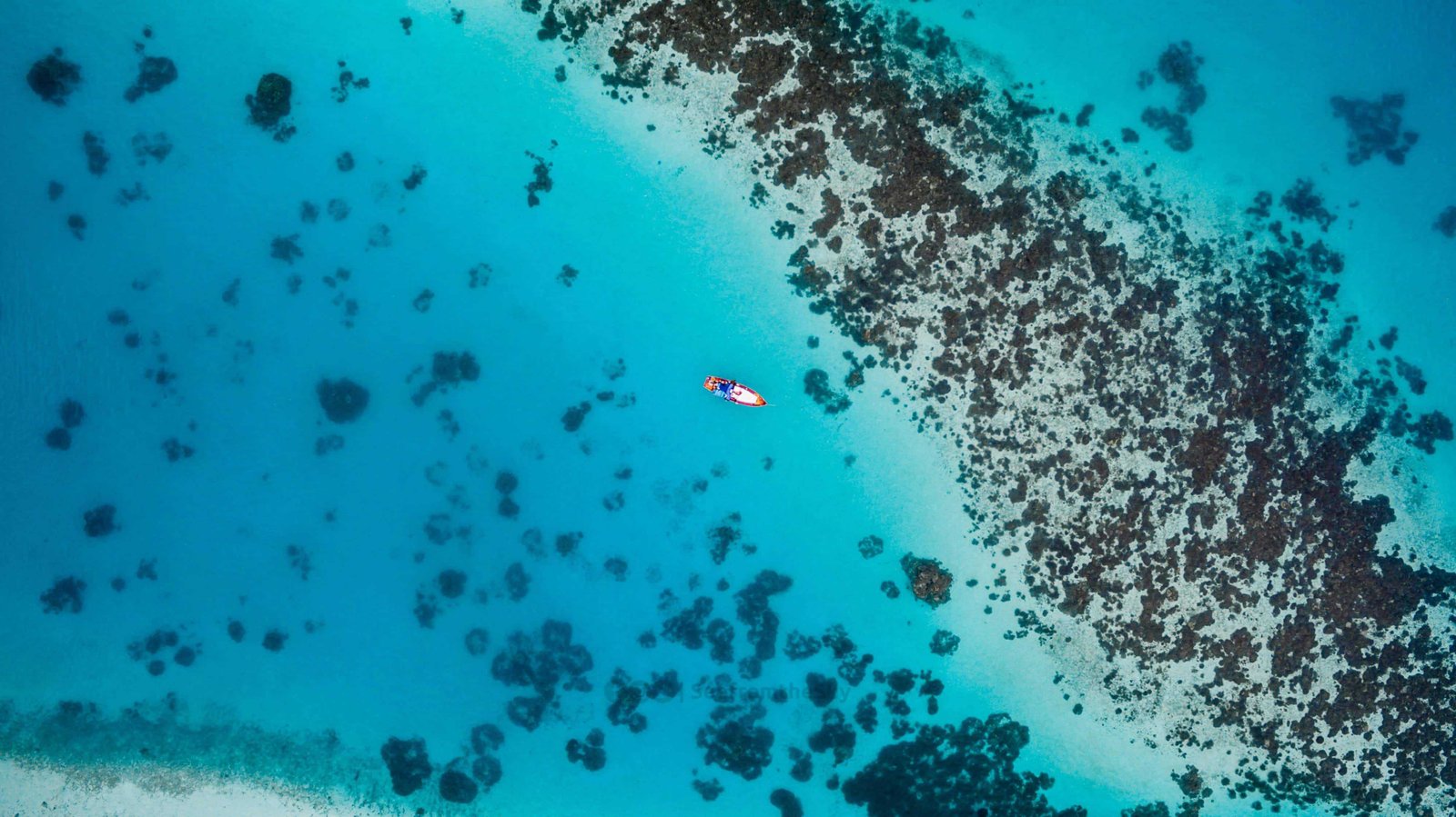 Bora Bora Island vs Maldives: Which island to choose in 2026? 21 Maldives