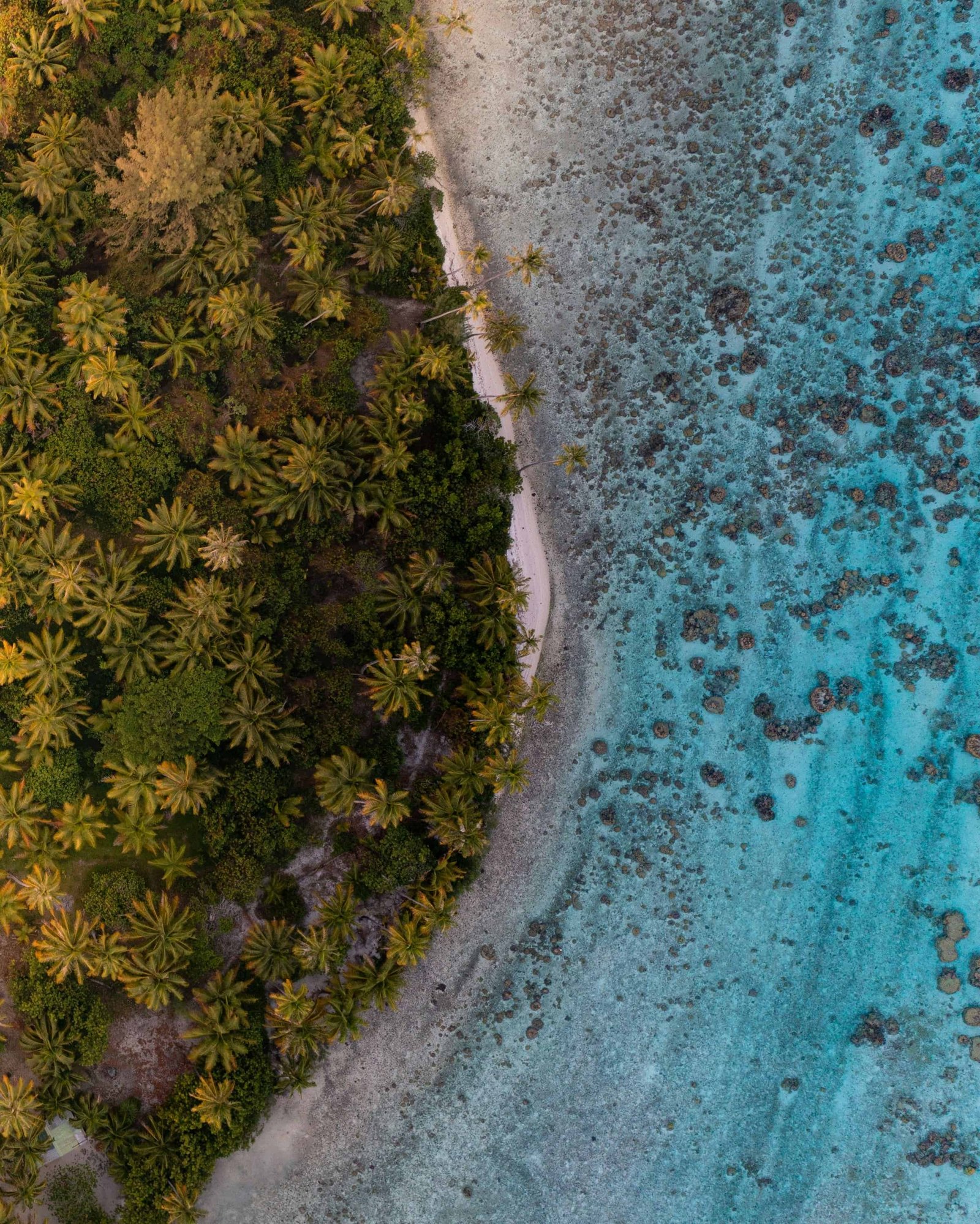 Vahine Island Resort & Spa à Tahaa - All You Need To Know (2026) 17 Vahine island.