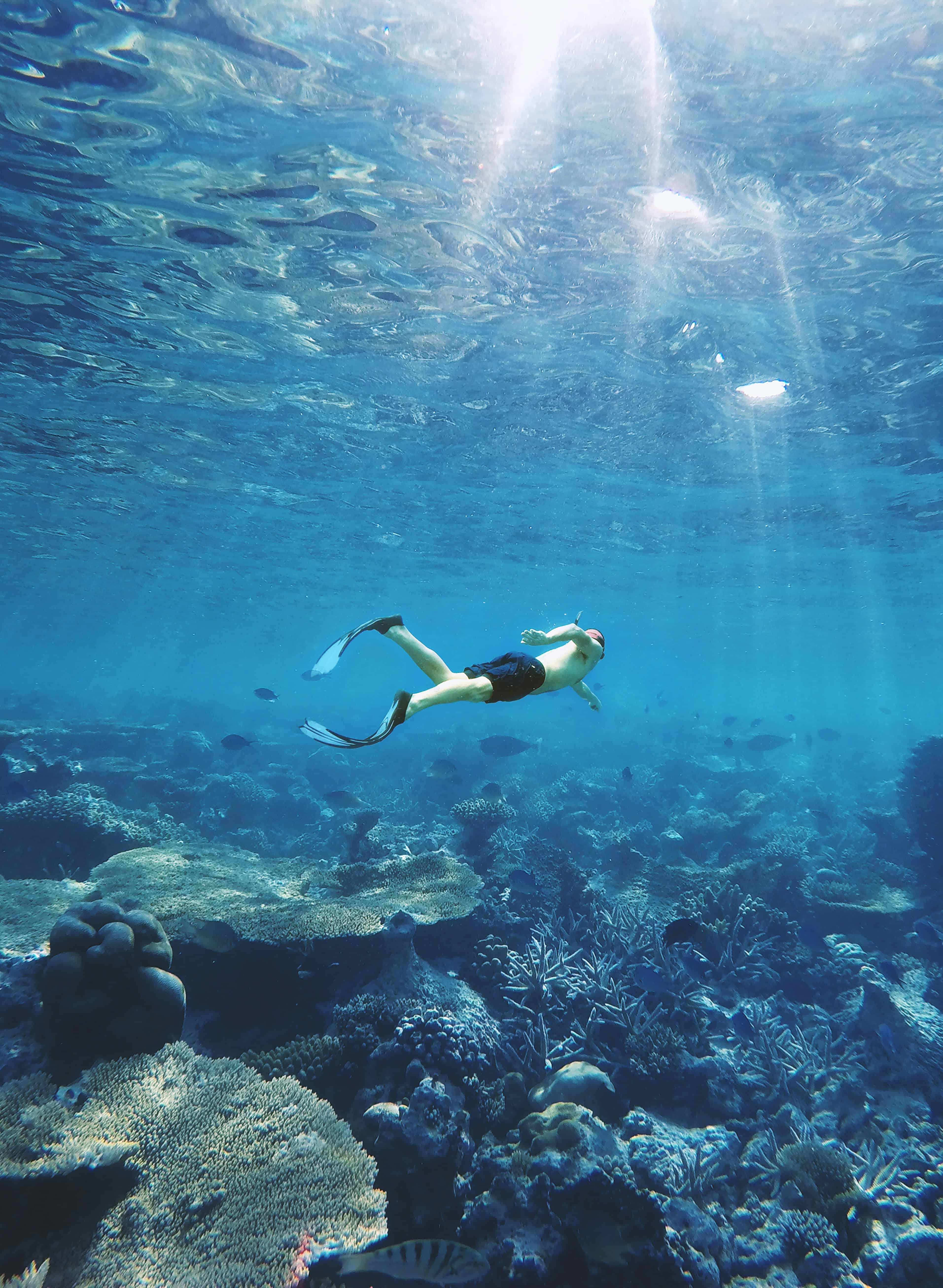 Snorkeling in french Polynesia