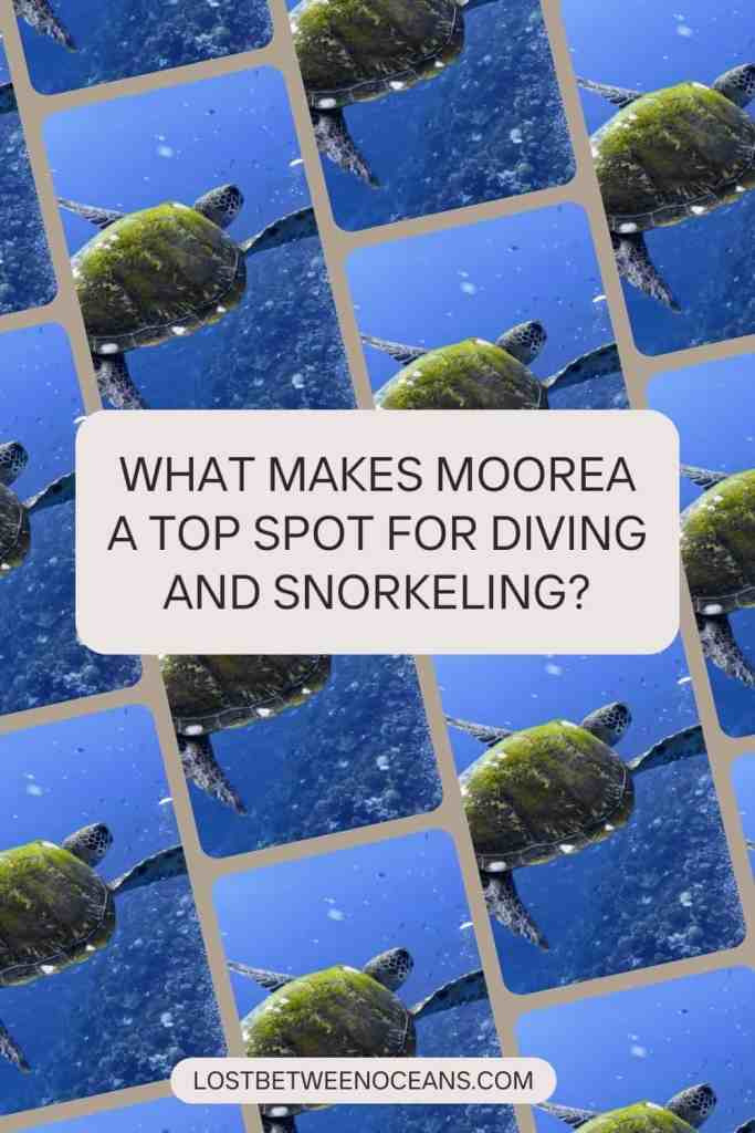 Pinterest picture from Lost Between Oceans