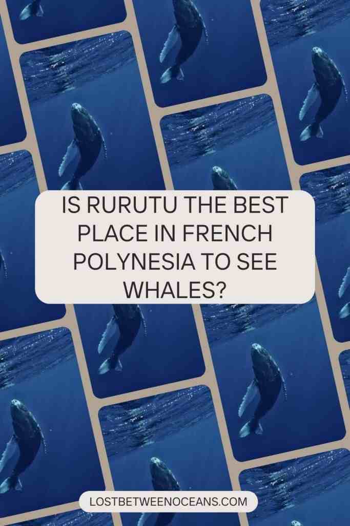 Pinterest picture from Lost Between Oceans