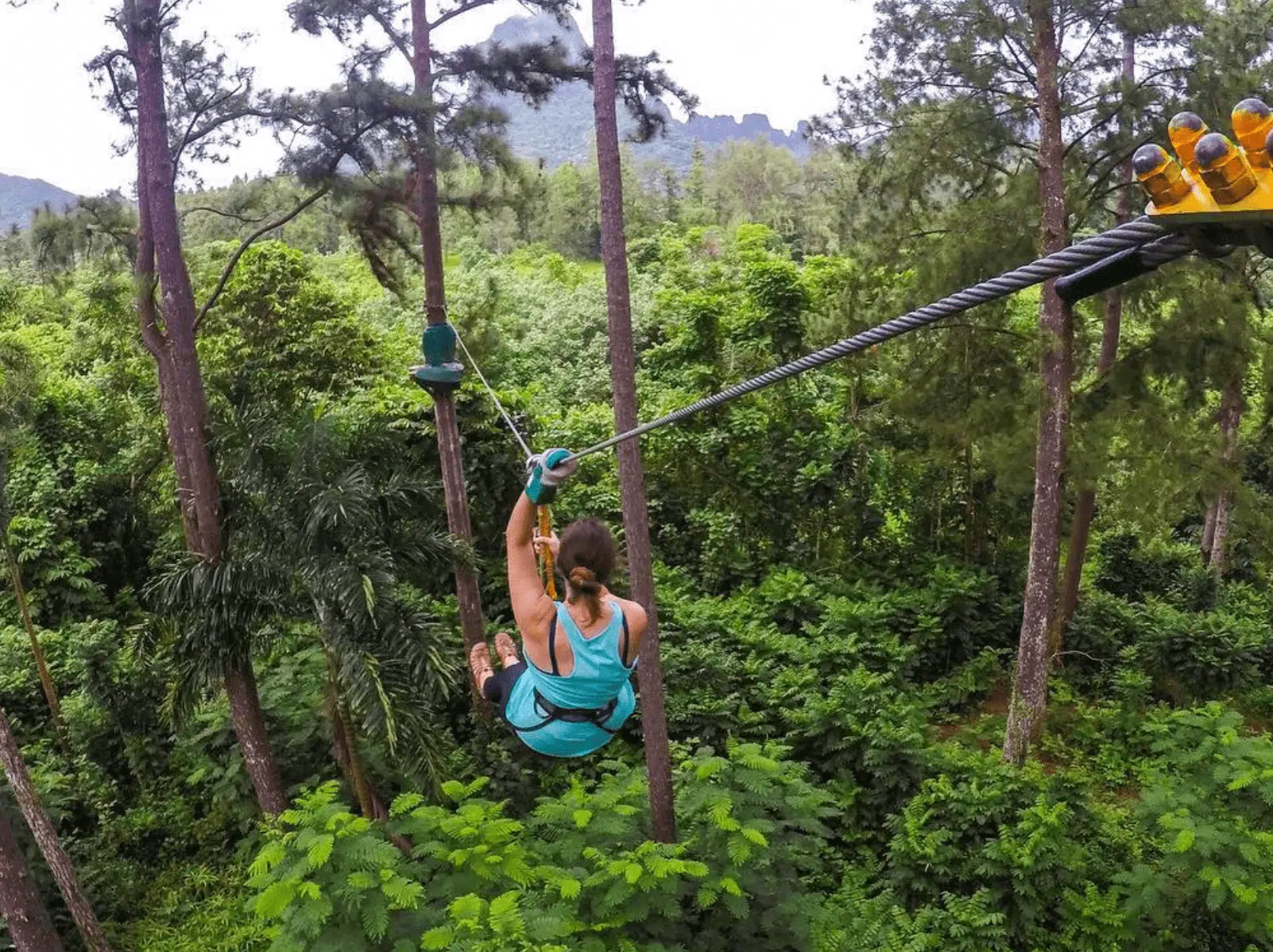 Zipline is one of the best things to do in Moorea