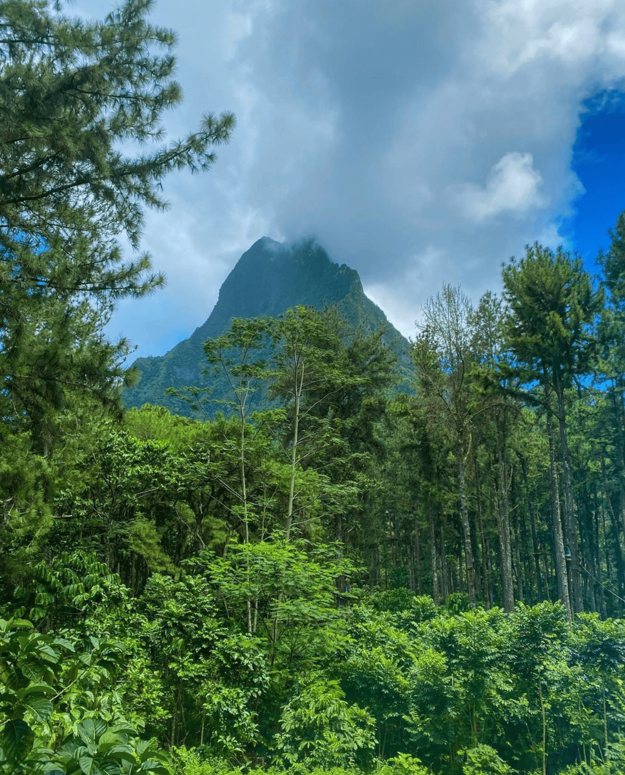 Top 23 Things To Do In Moorea in 2026 9